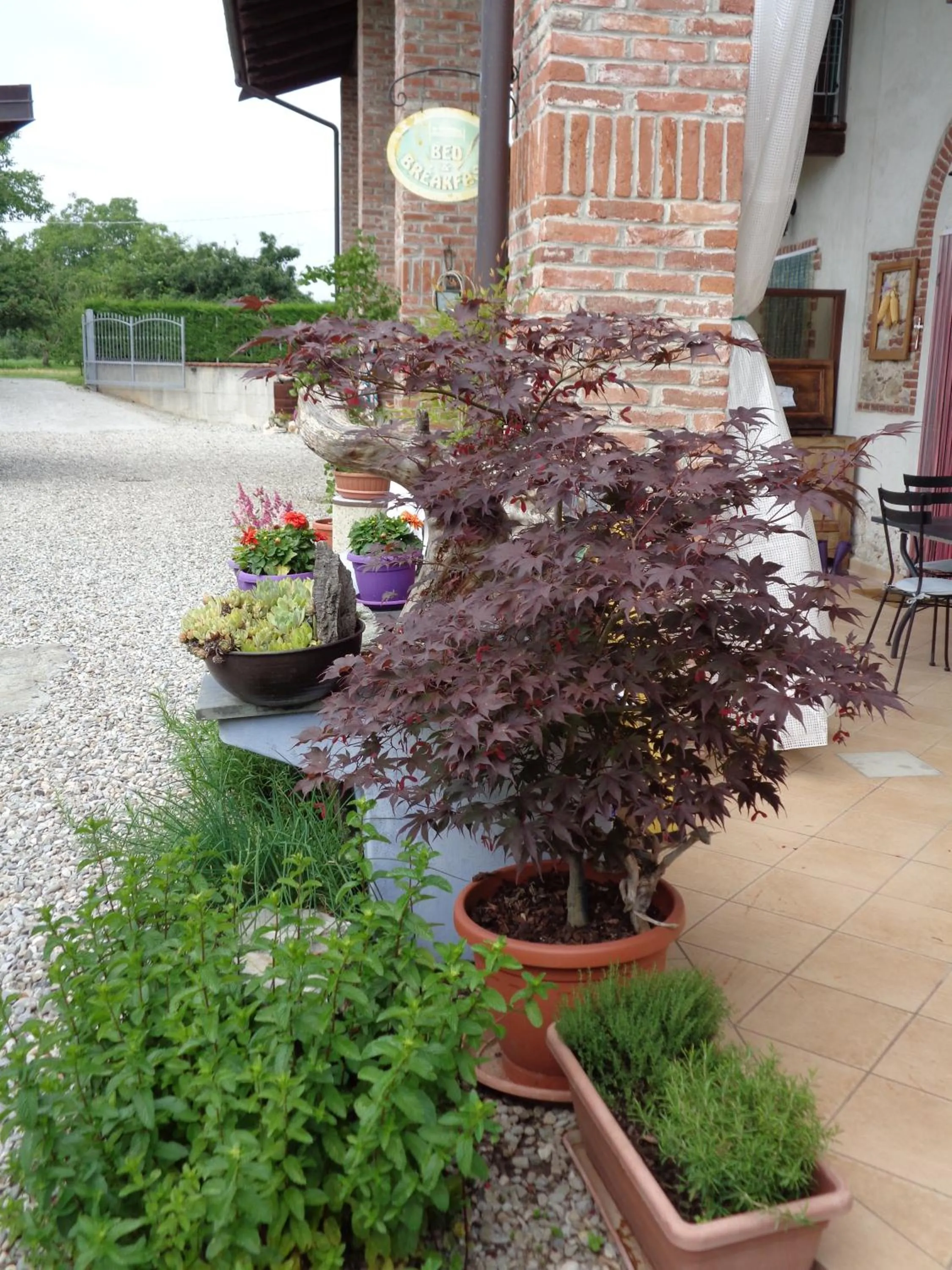 Facade/entrance in Bed and breakfast Al Rudun