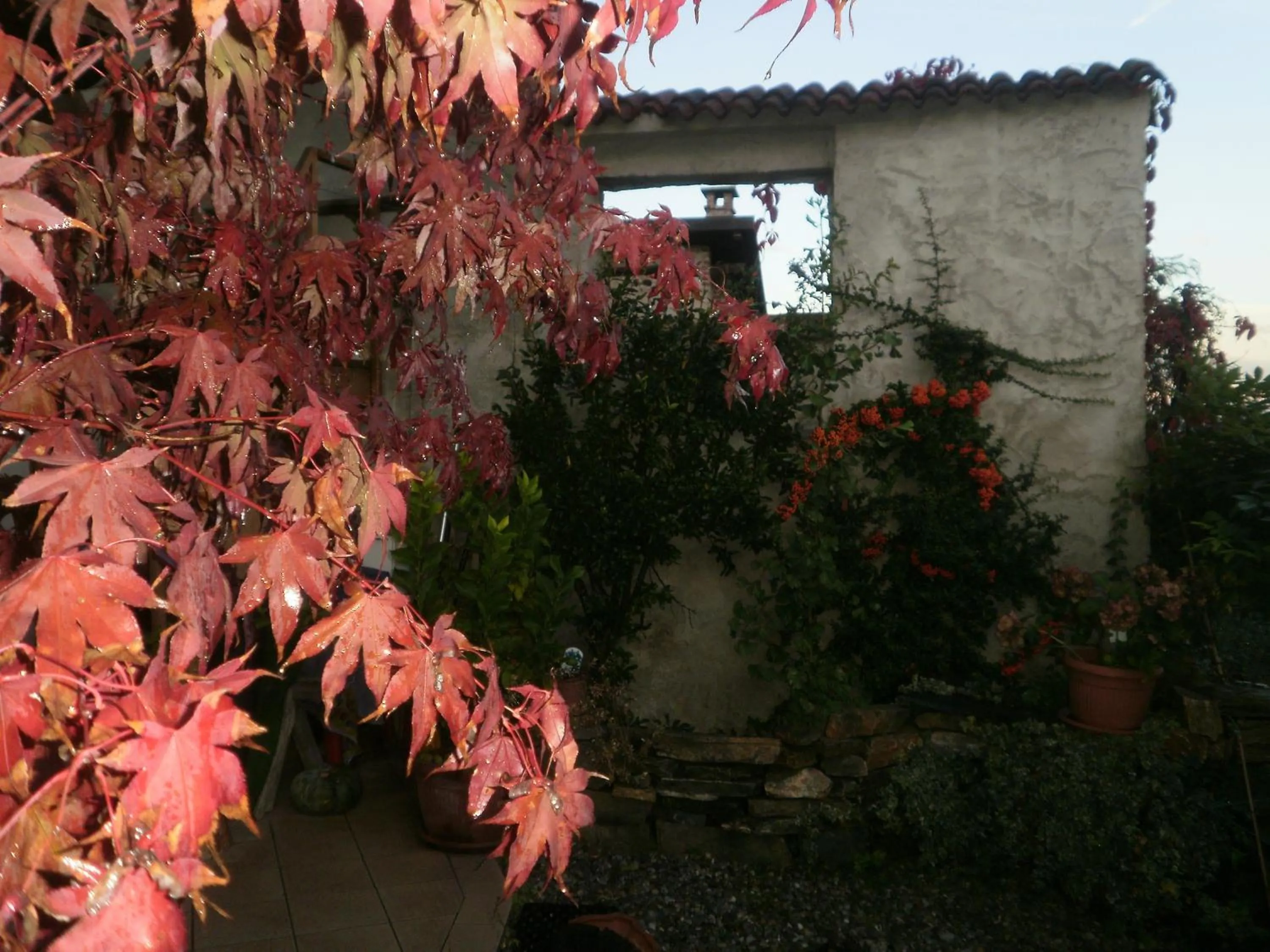 Area and facilities in Bed and breakfast Al Rudun