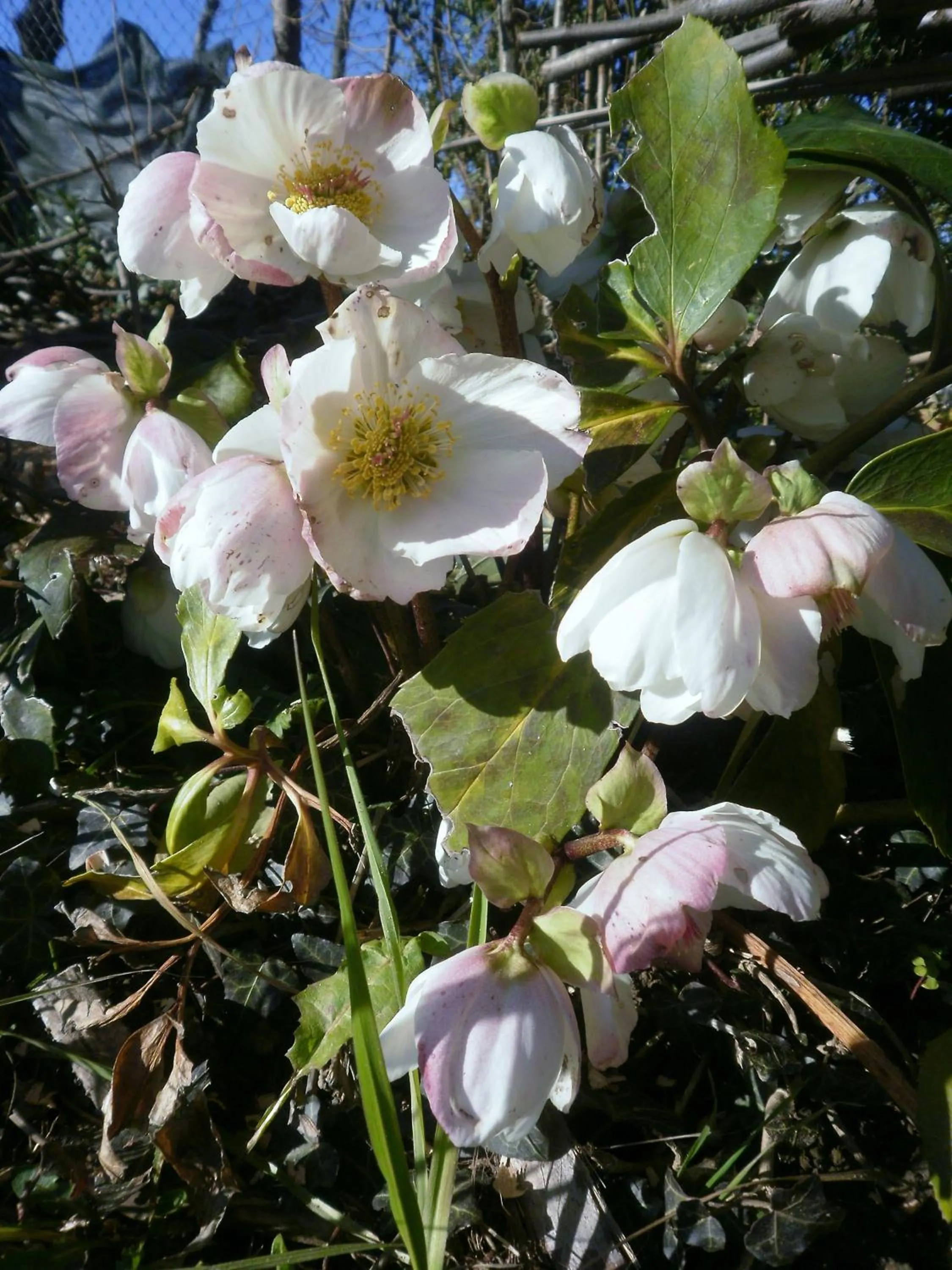 Facade/entrance in Bed and breakfast Al Rudun