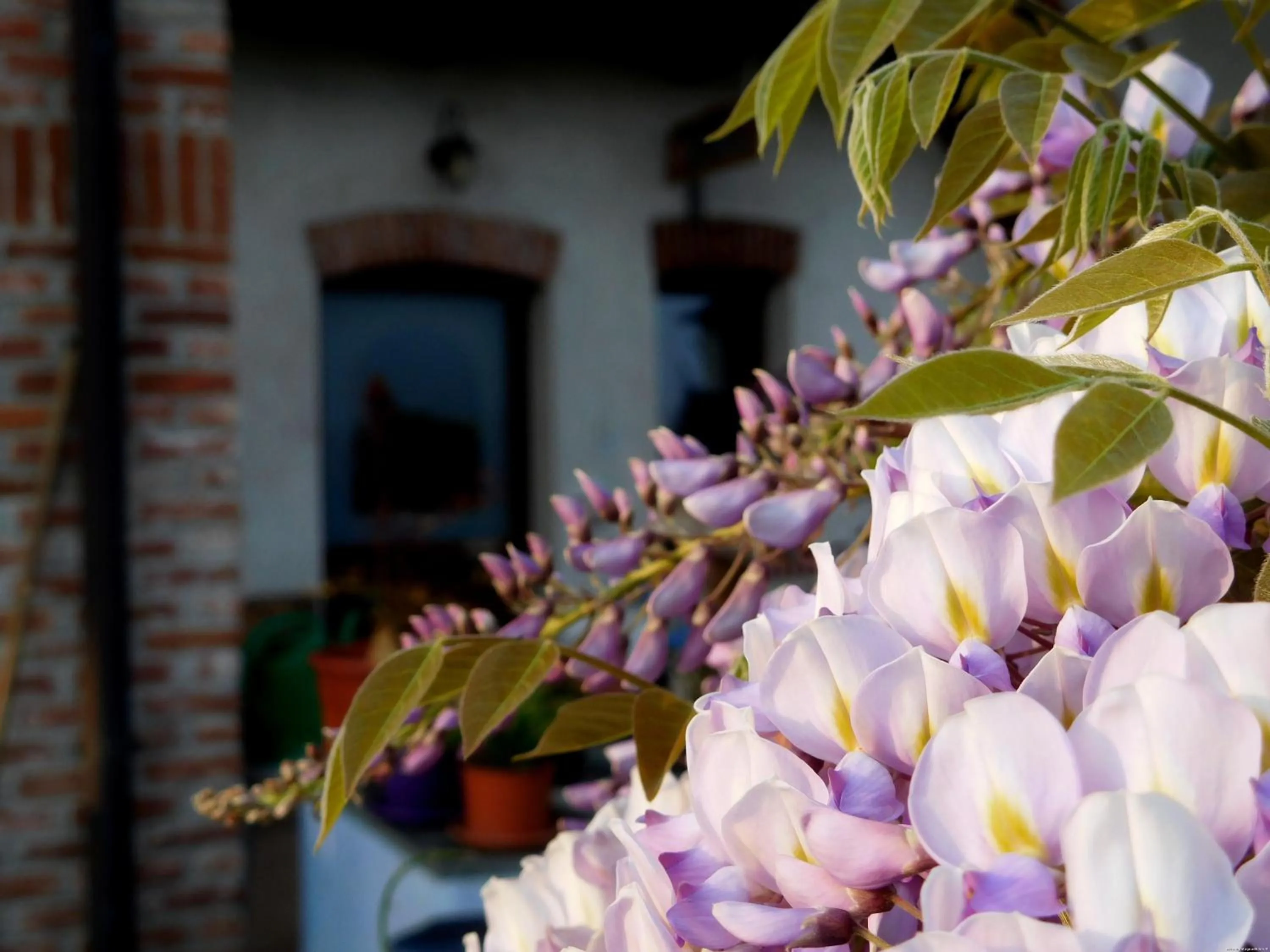 Floor plan in Bed and breakfast Al Rudun