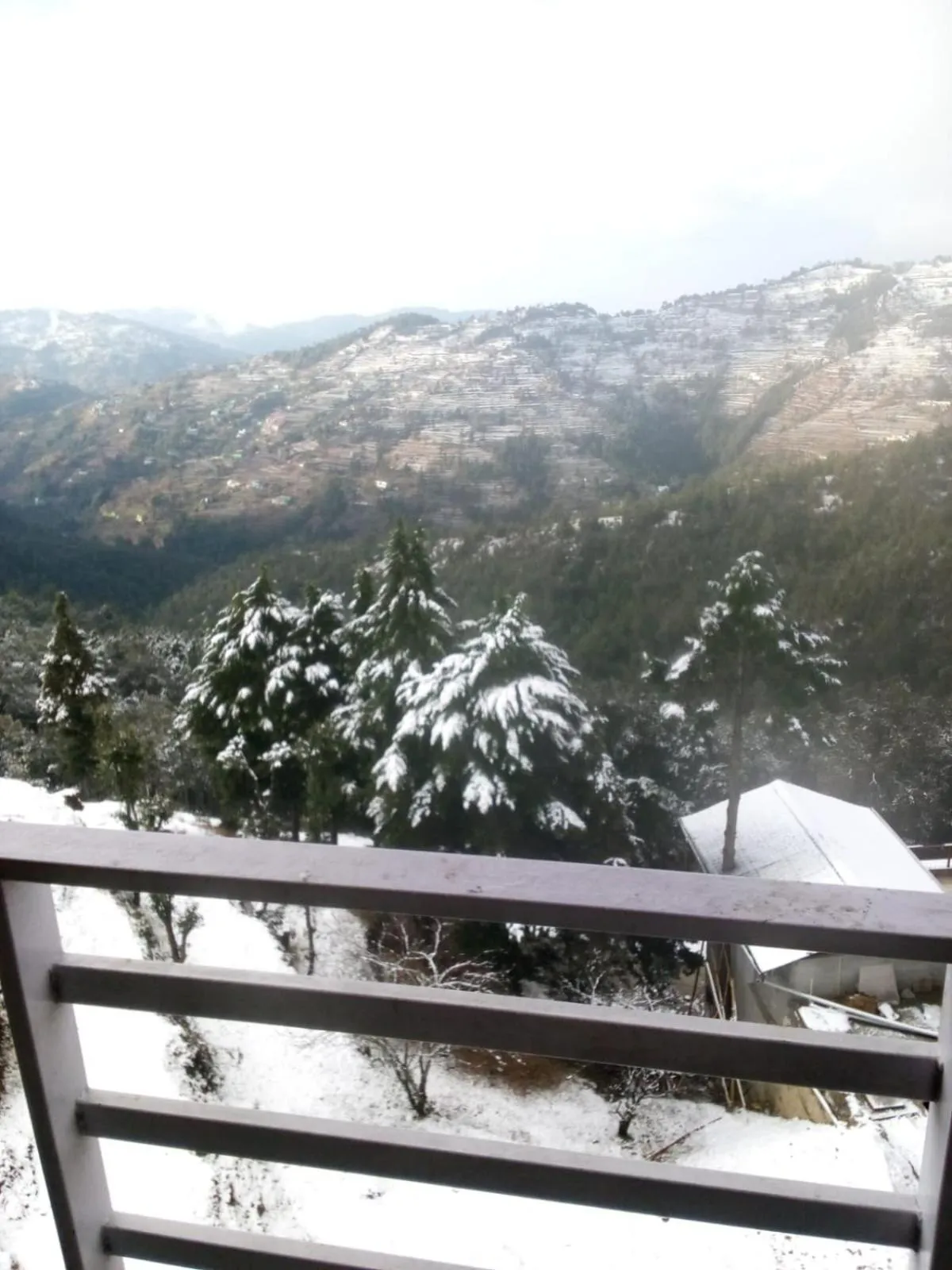 Balcony/Terrace in Abhi's Cottage