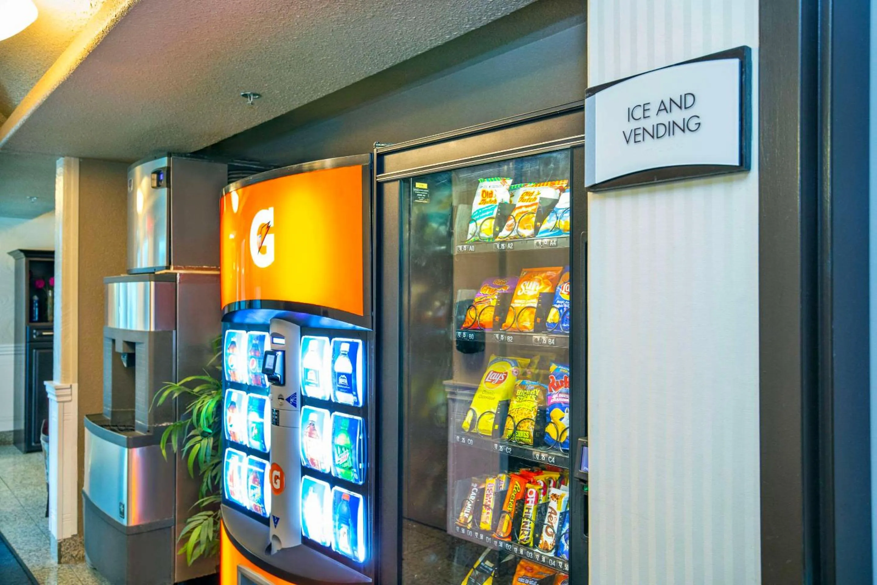 Other in Quality Inn & Suites Yorkton