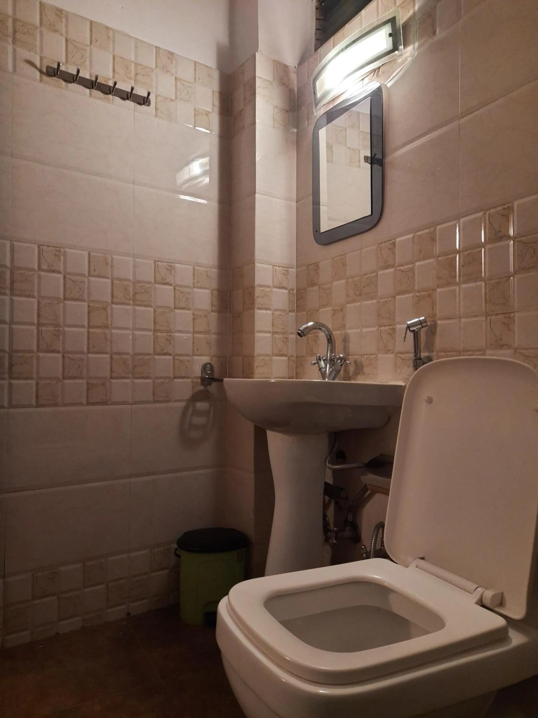 Toilet in Hotel Golden Orchid