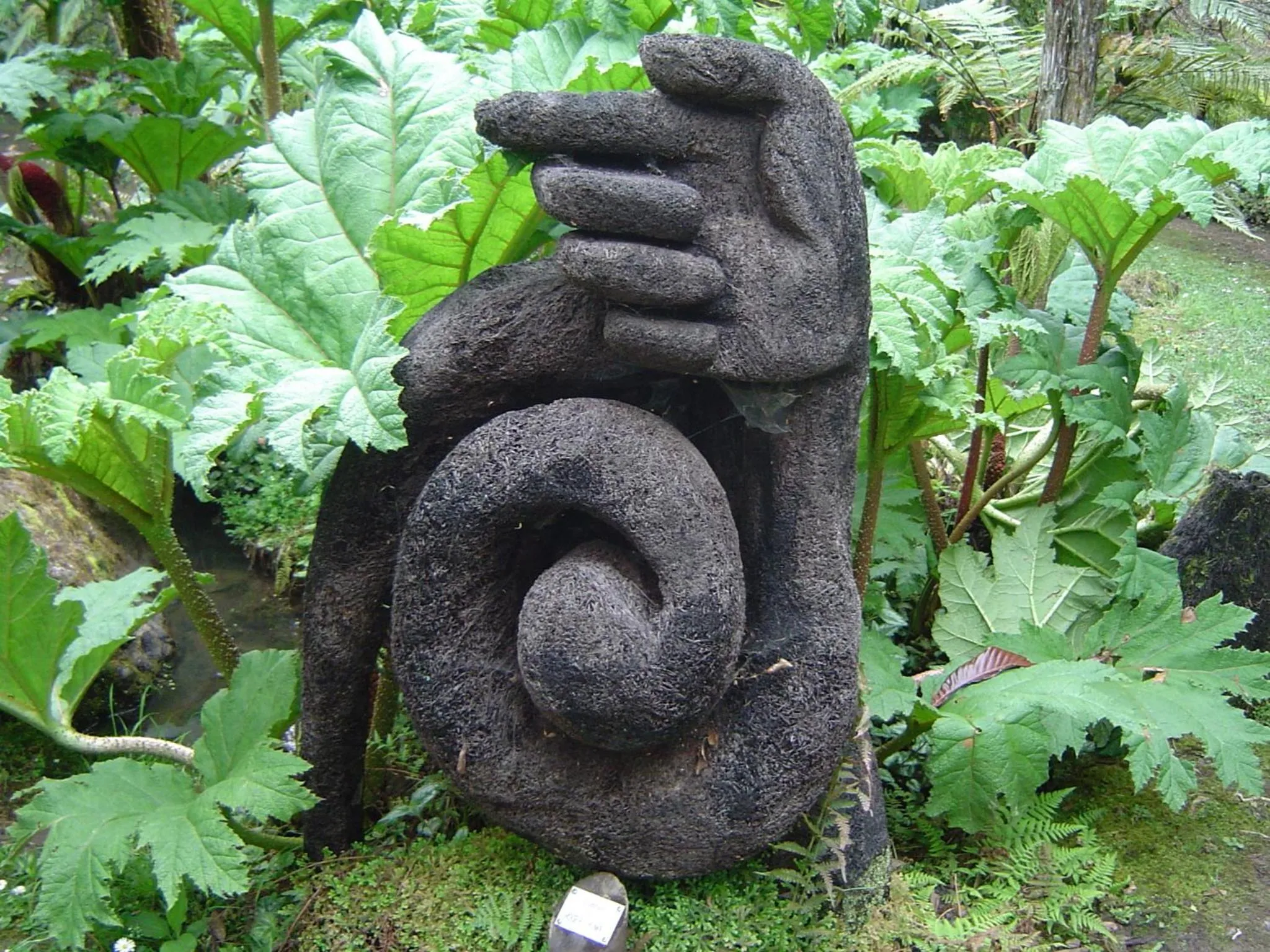 Garden in Rapaura Watergardens