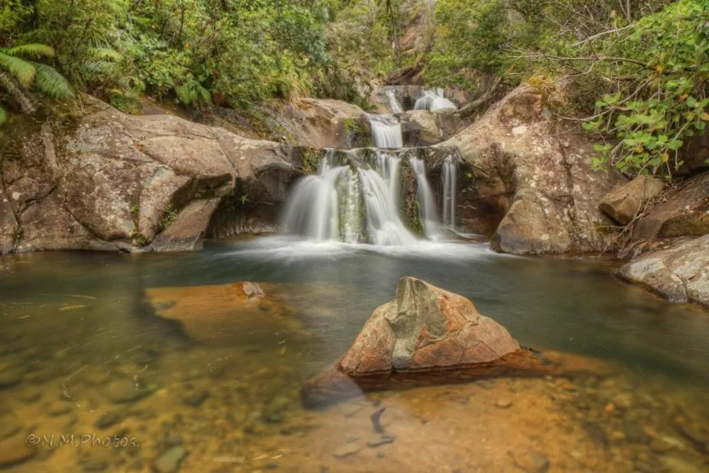 Rapaura Watergardens