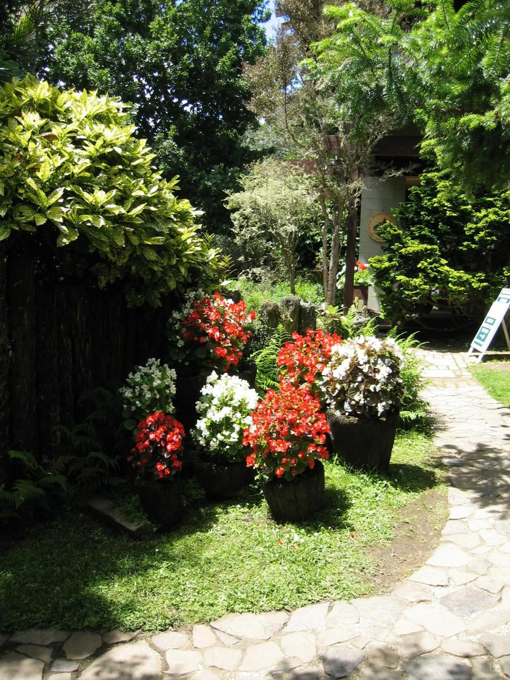 Garden in Rapaura Watergardens
