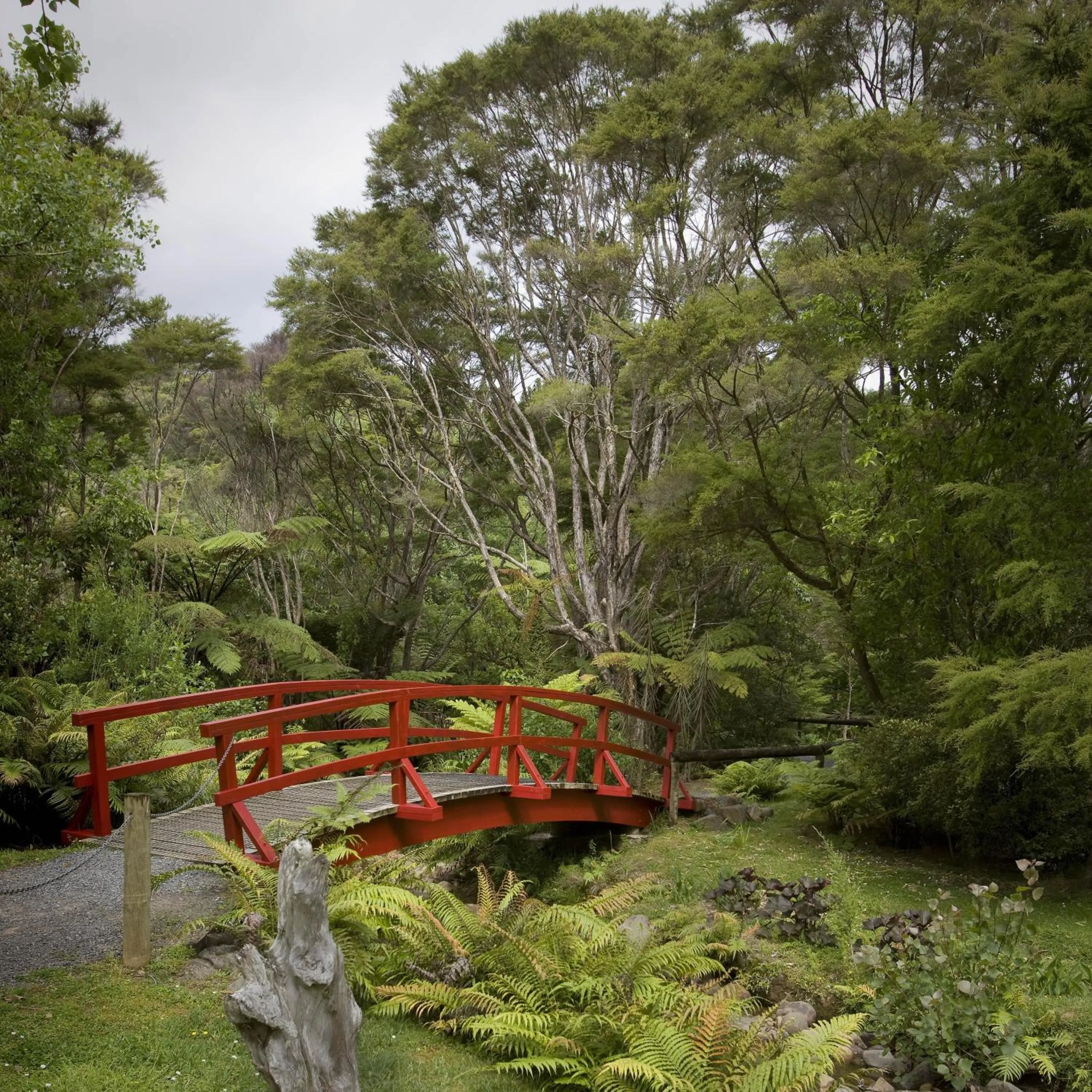 Garden in Rapaura Watergardens