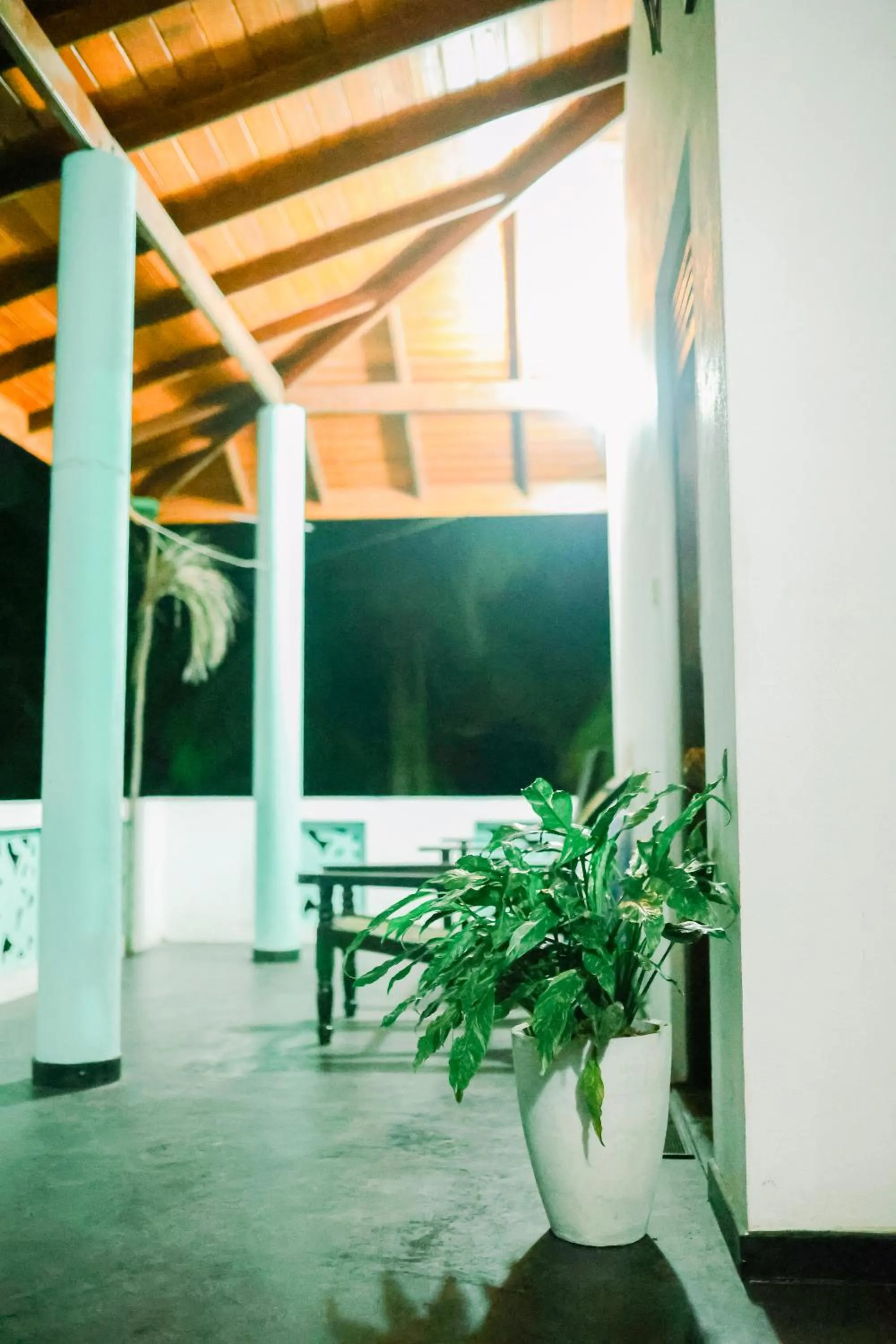 Balcony/Terrace in Beach Lagoon Guesthouse