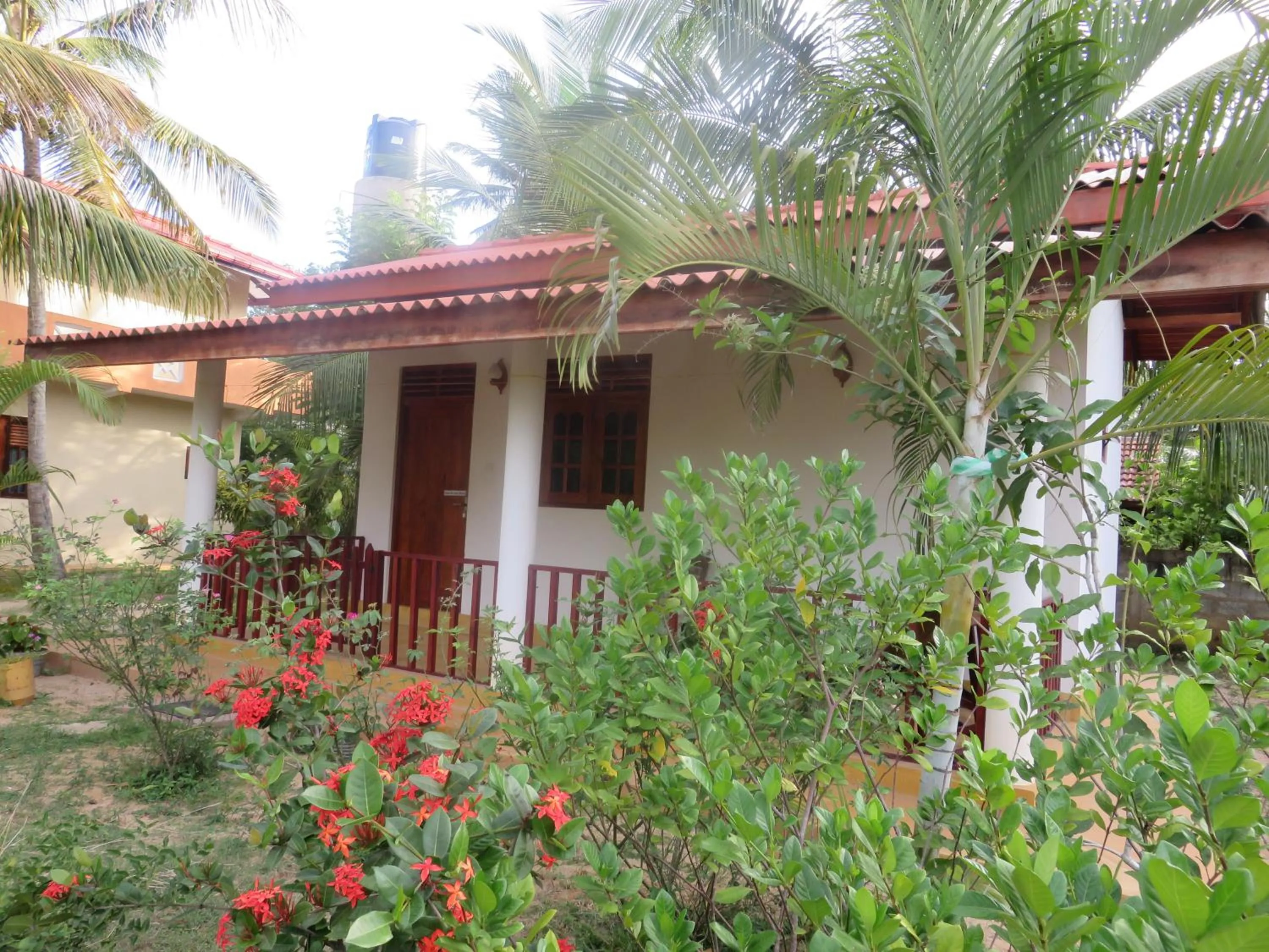 Garden view in Beach Lagoon Guesthouse