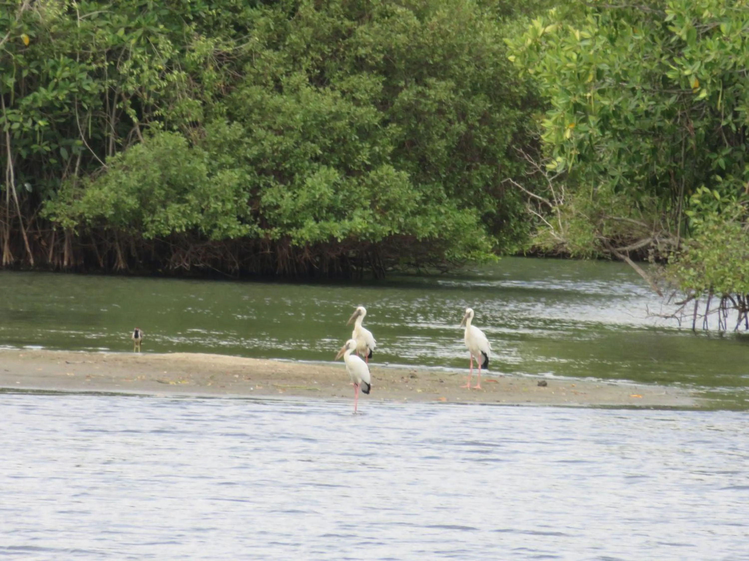 View (from property/room) in Beach Lagoon Guesthouse