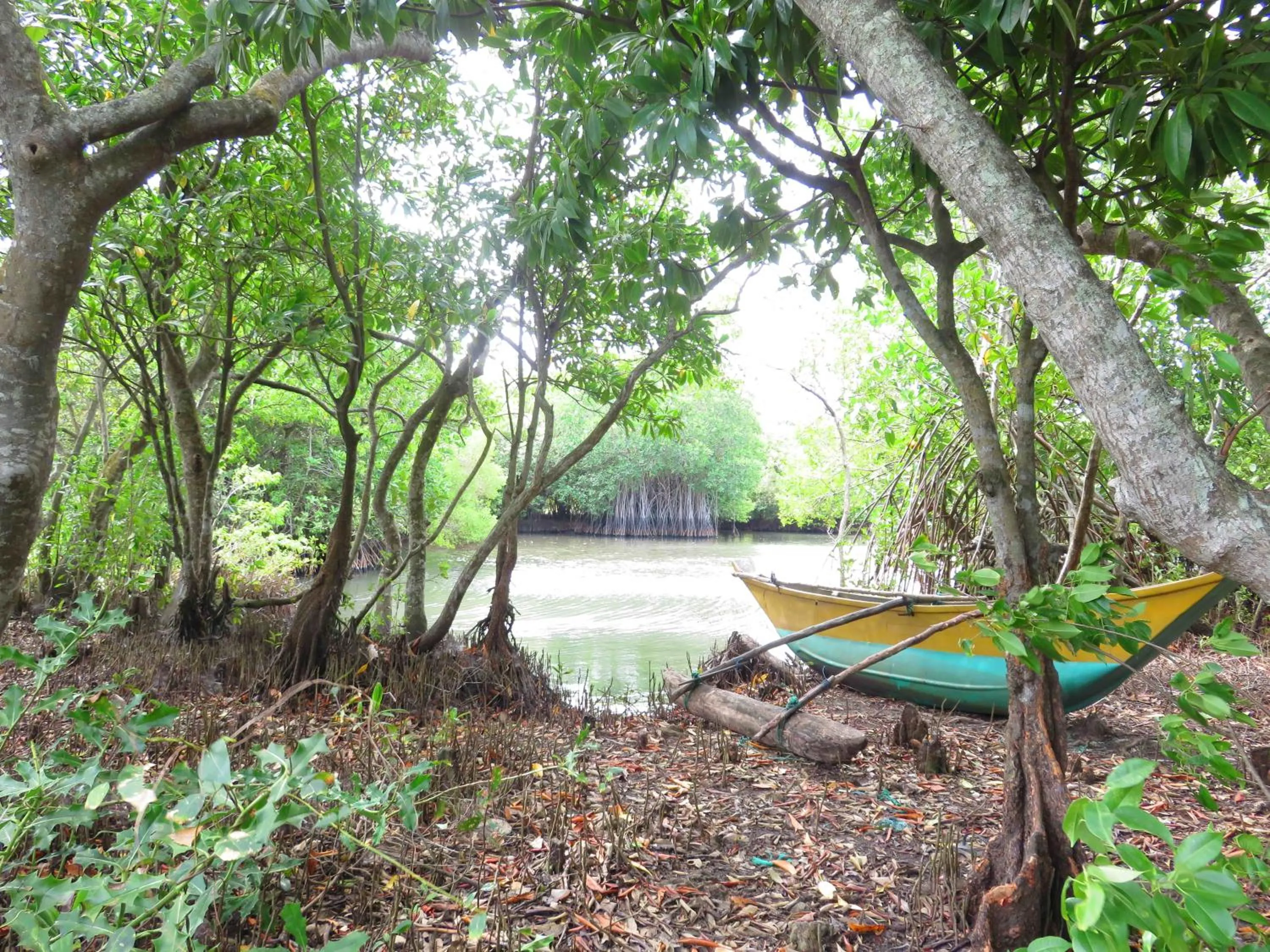 Canoeing in Beach Lagoon Guesthouse