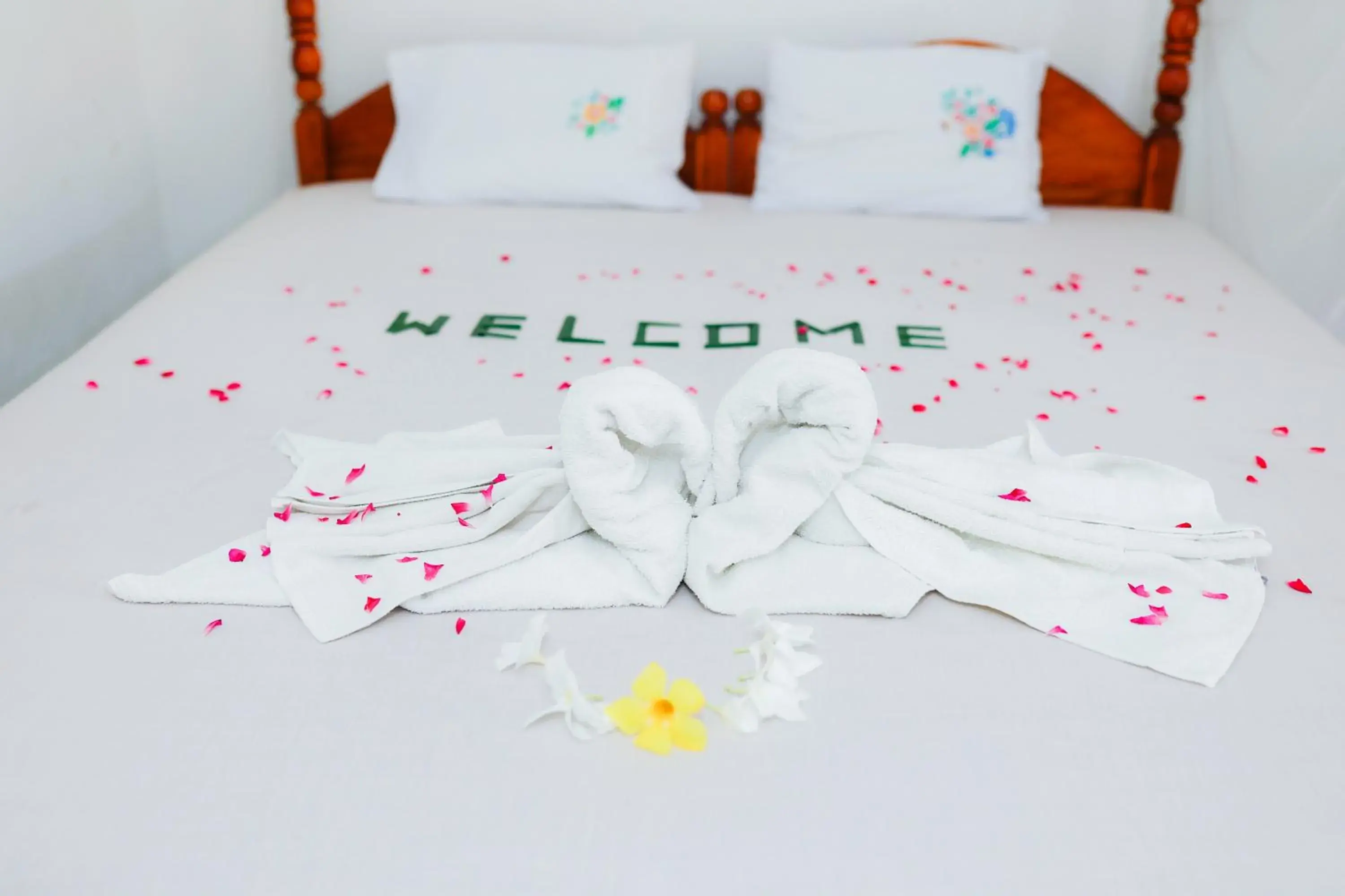 Double Room with Garden View - single occupancy in Beach Lagoon Guesthouse Double Room with Garden View - single occupancy in Beach Lagoon Guesthouse