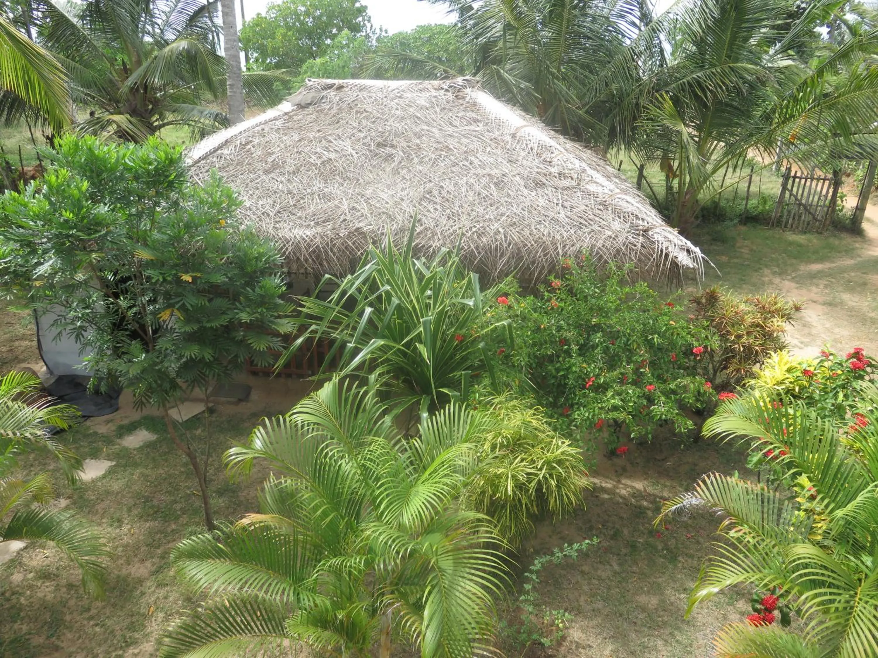 Restaurant/places to eat in Beach Lagoon Guesthouse