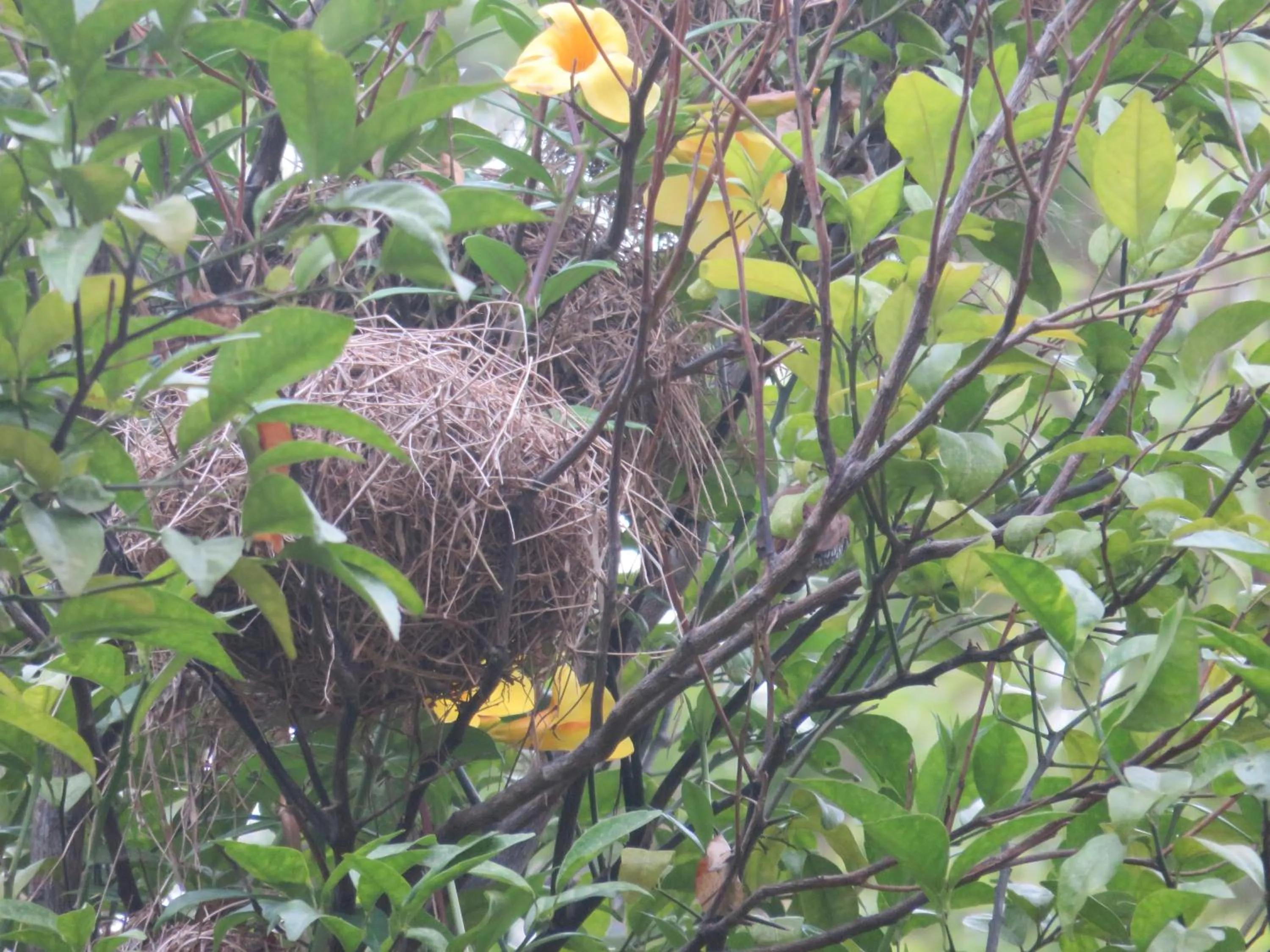 Beach Lagoon Guesthouse