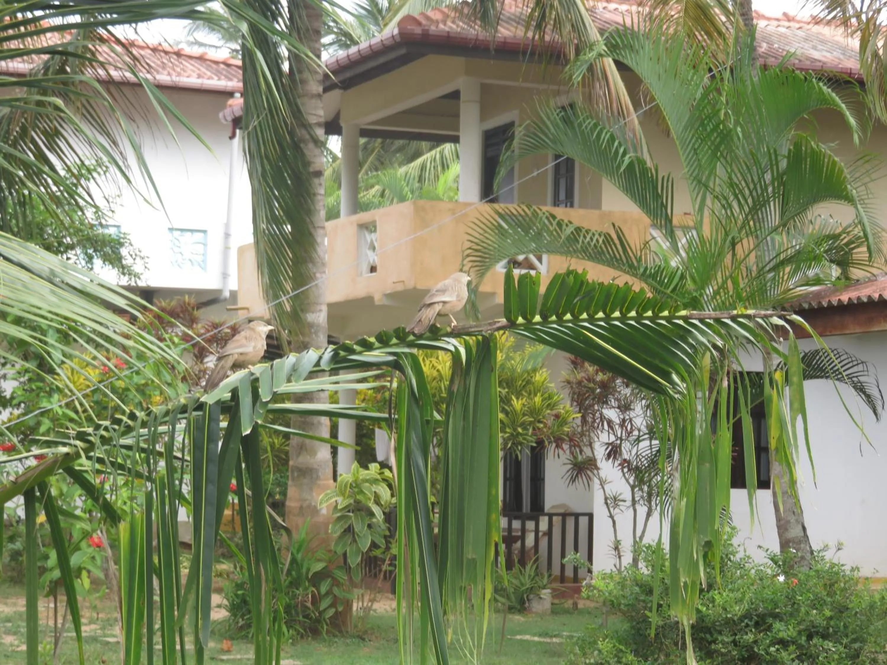 Garden in Beach Lagoon Guesthouse