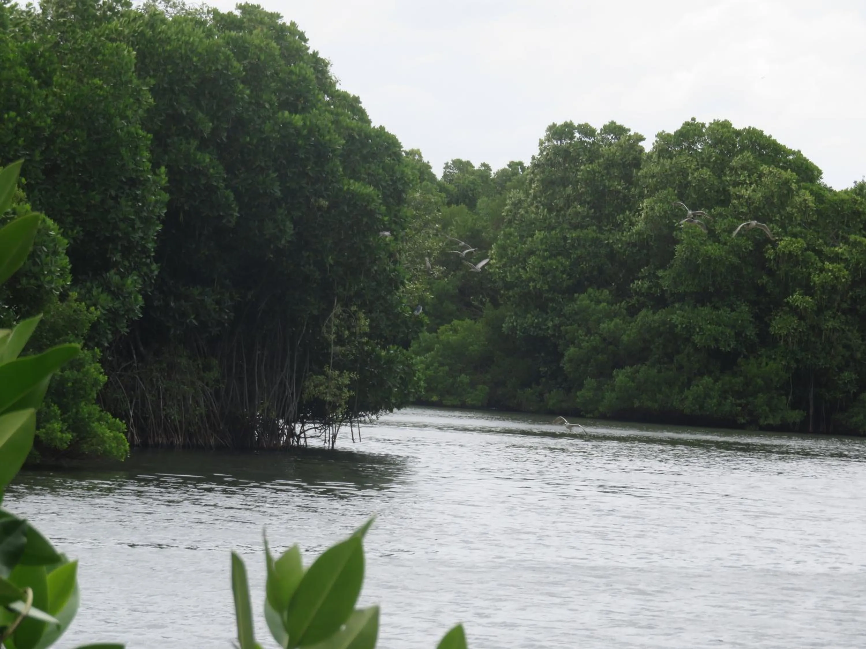 View (from property/room) in Beach Lagoon Guesthouse