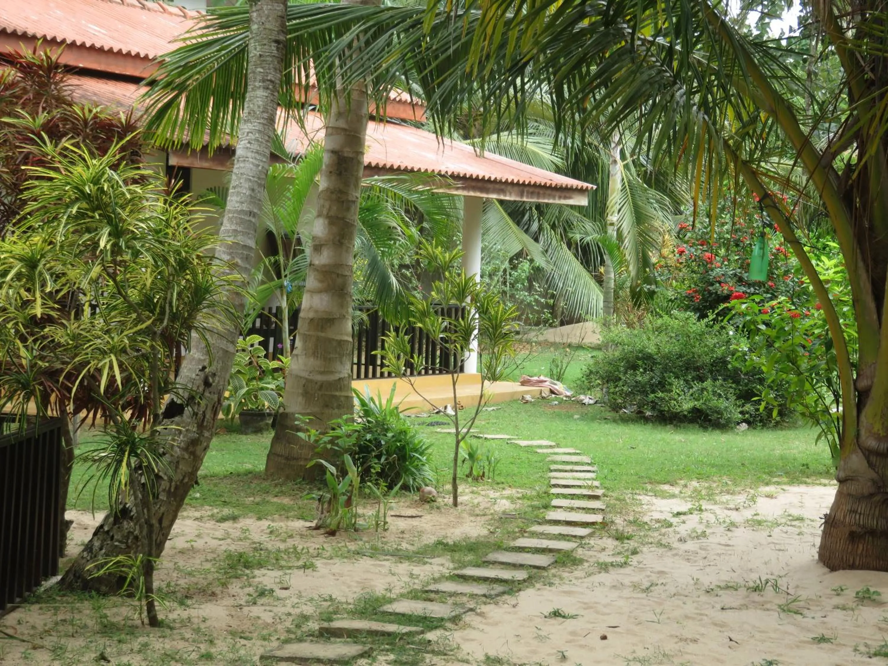 Garden in Beach Lagoon Guesthouse