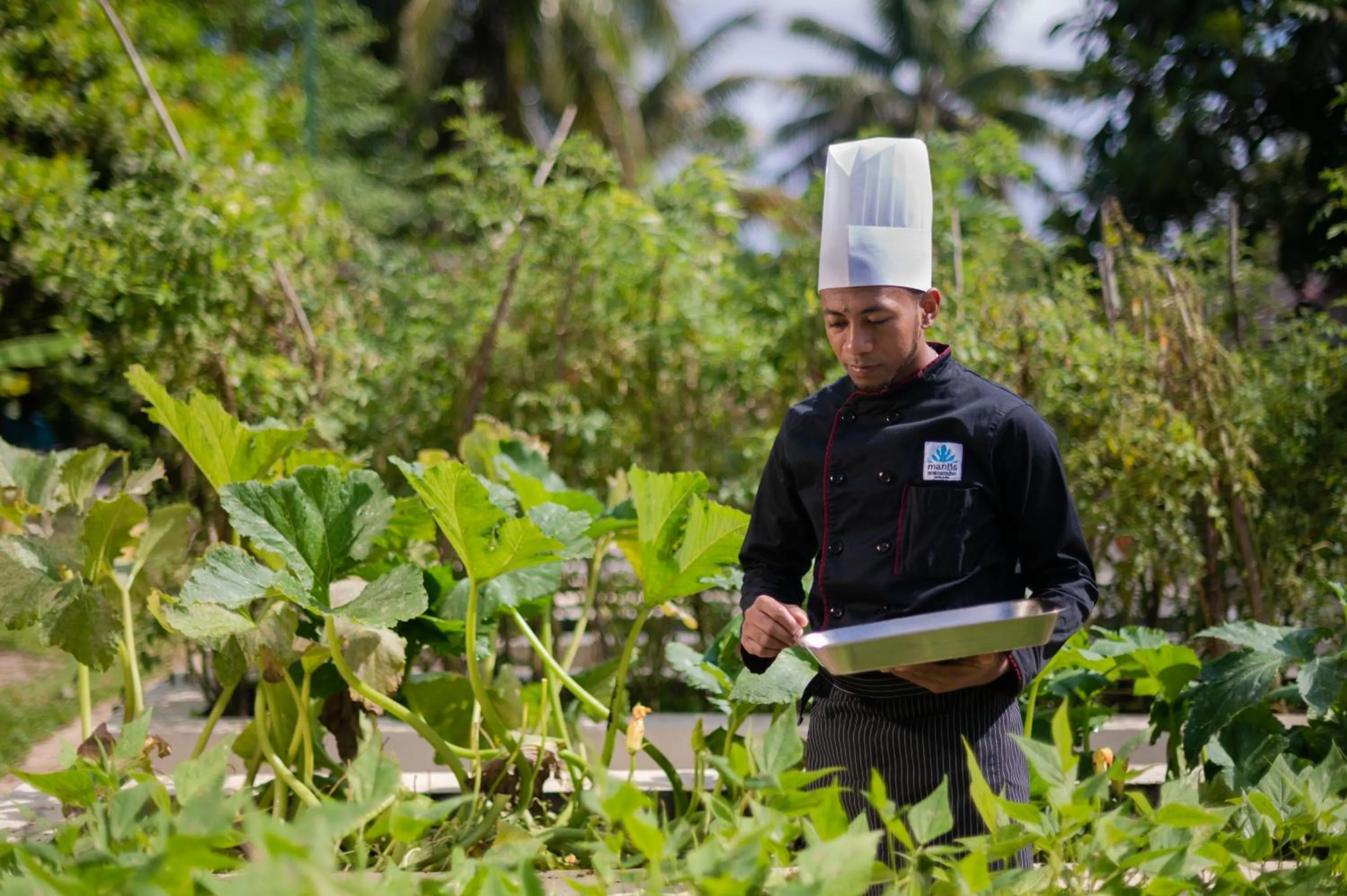 Garden in Mantis Soanambo Hotel And Spa
