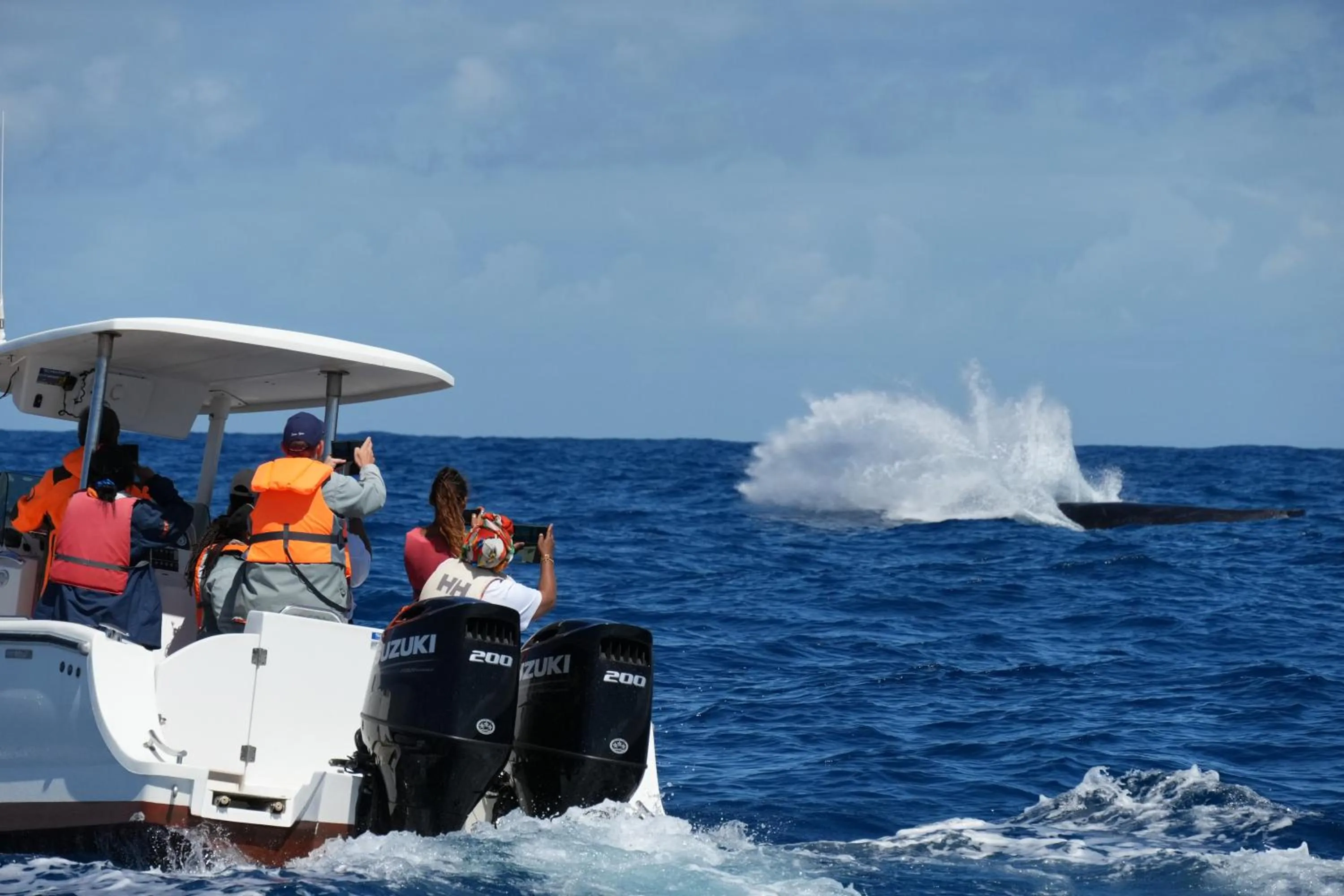 Activities in Mantis Soanambo Hotel And Spa