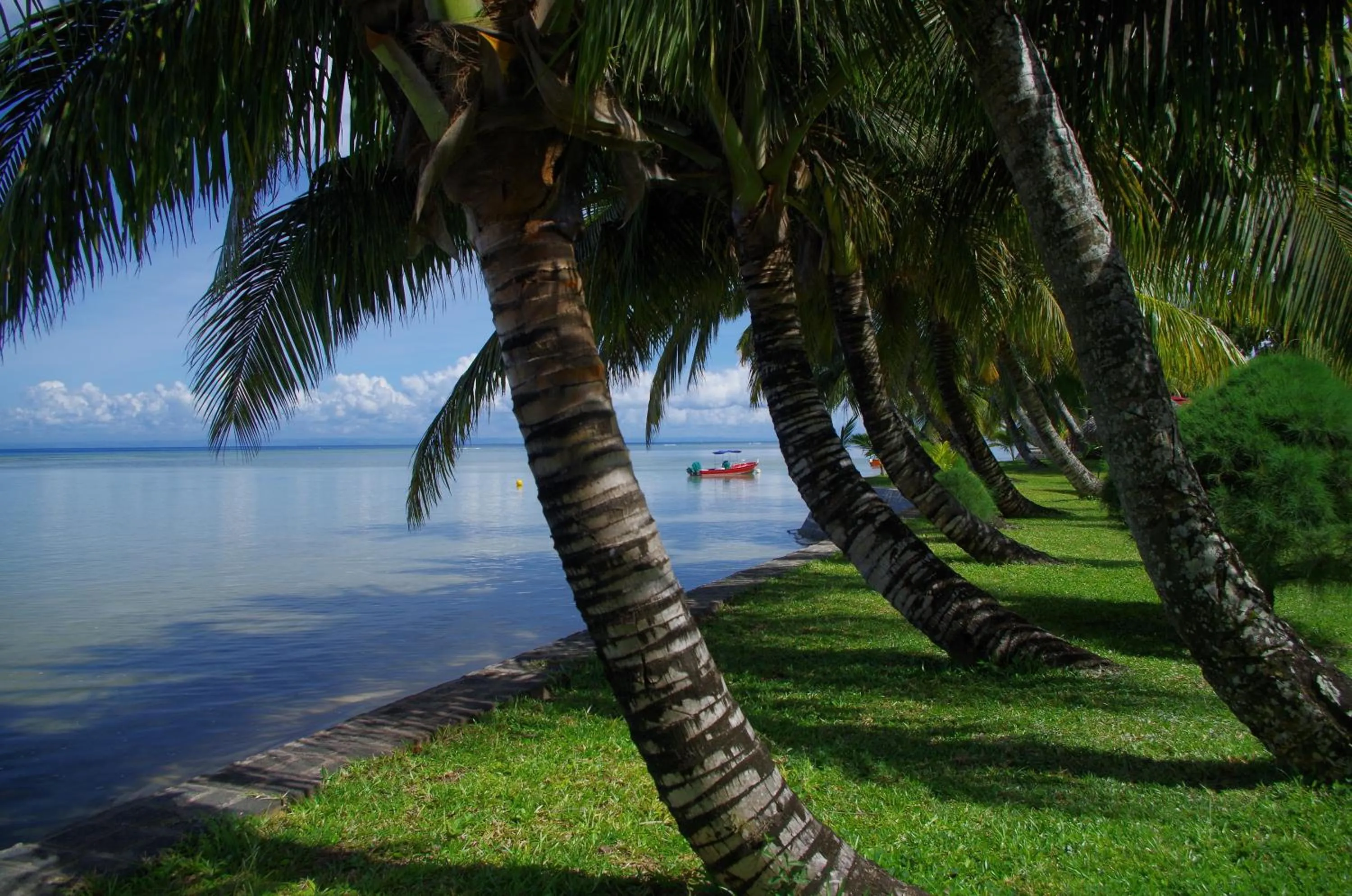 Garden in Mantis Soanambo Hotel And Spa
