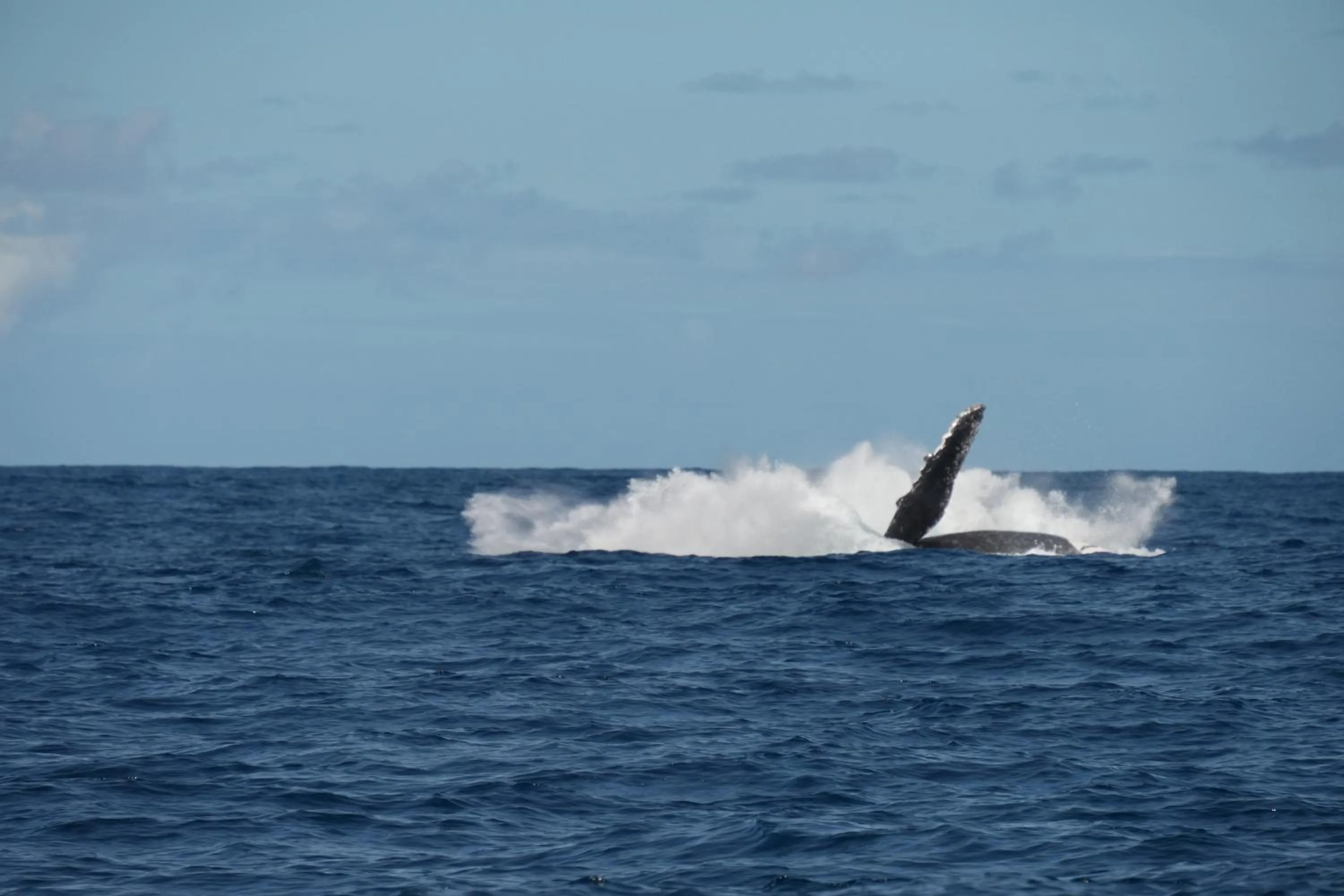 Natural landscape in Mantis Soanambo Hotel And Spa