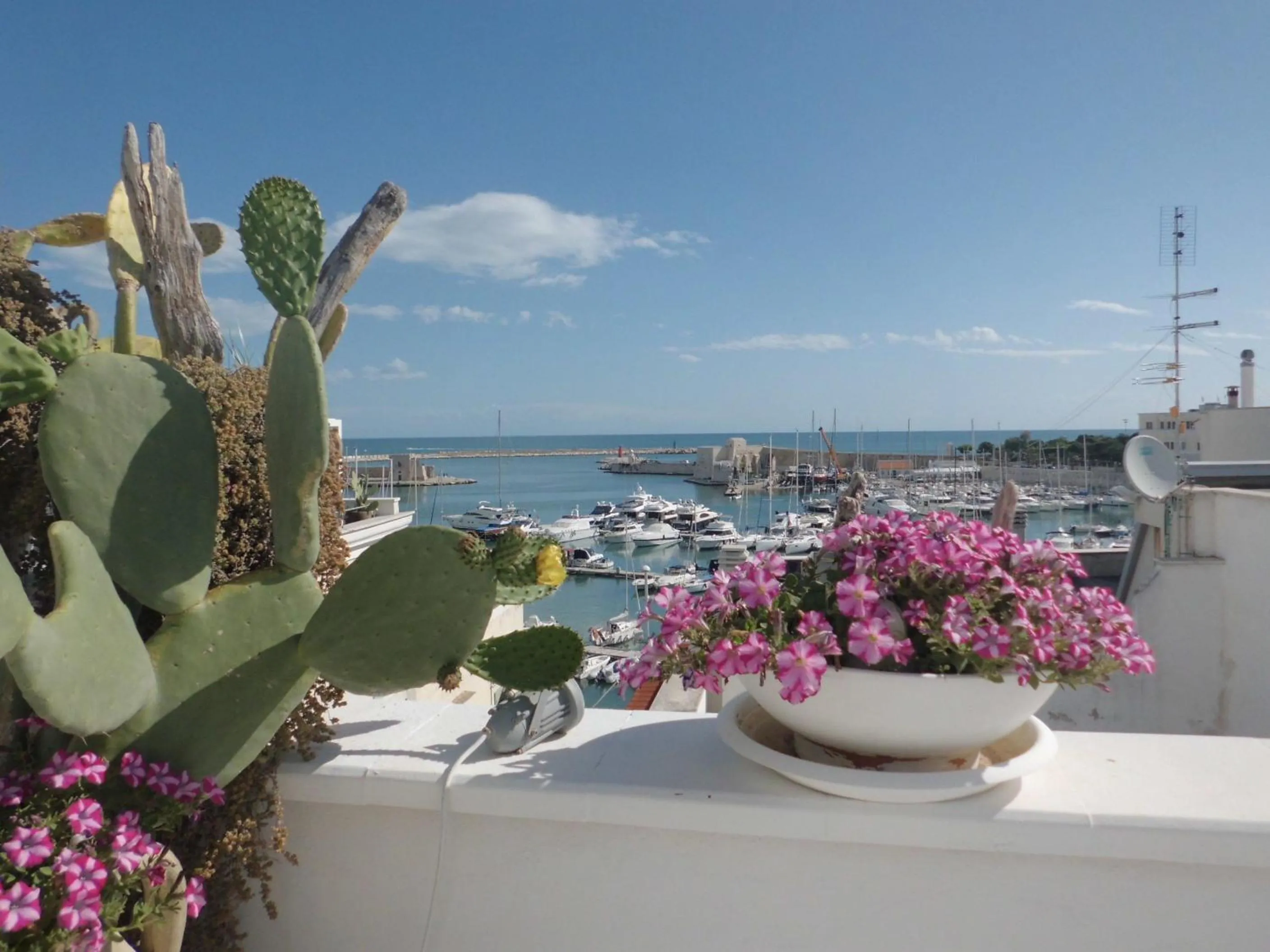 Balcony/Terrace in Portadamare