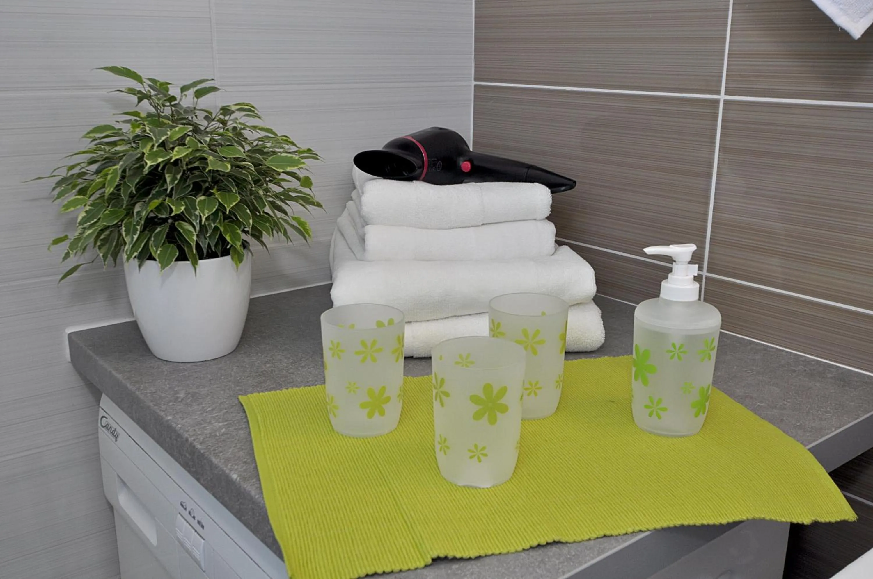 Bathroom in Bellevue Apartment