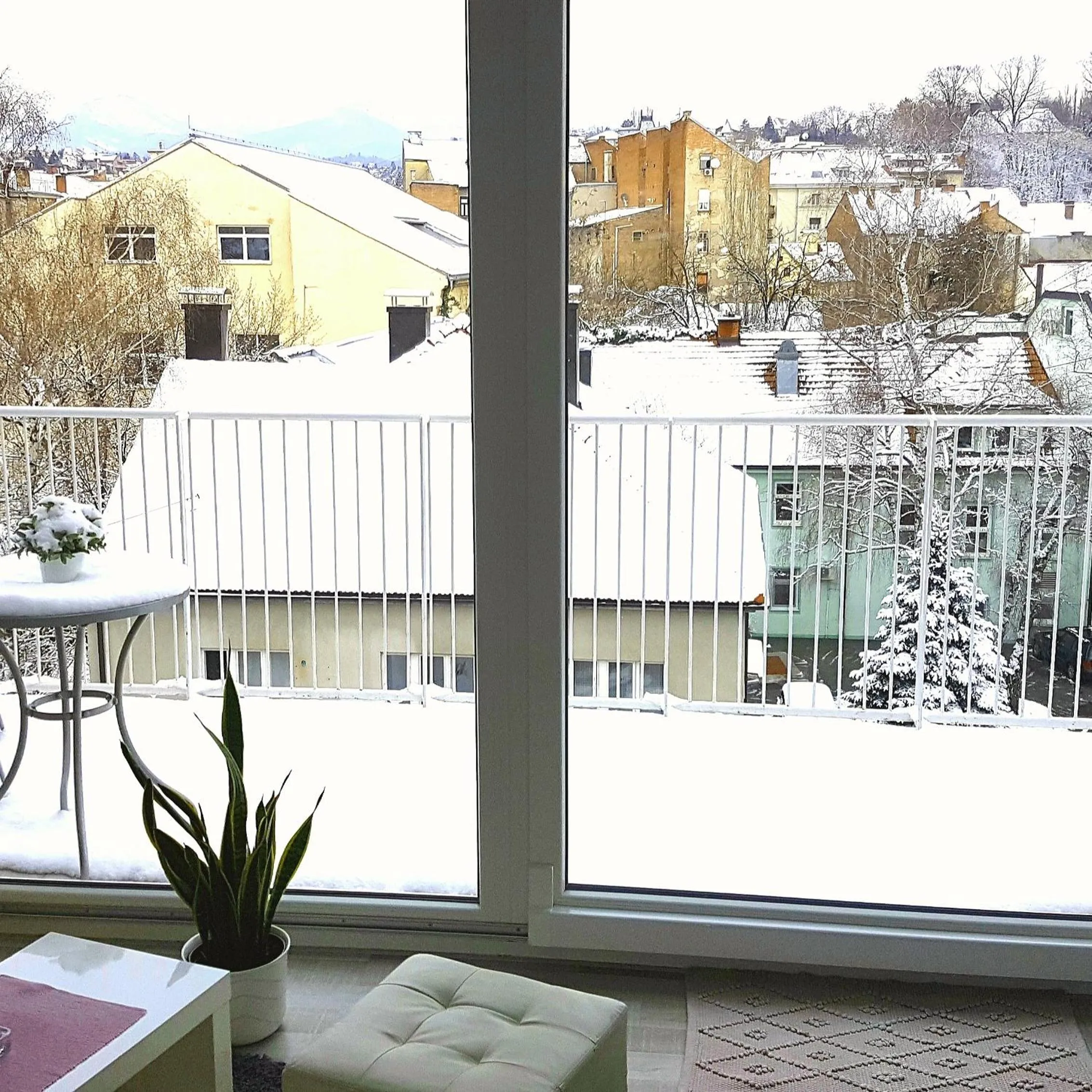 Bellevue Apartment