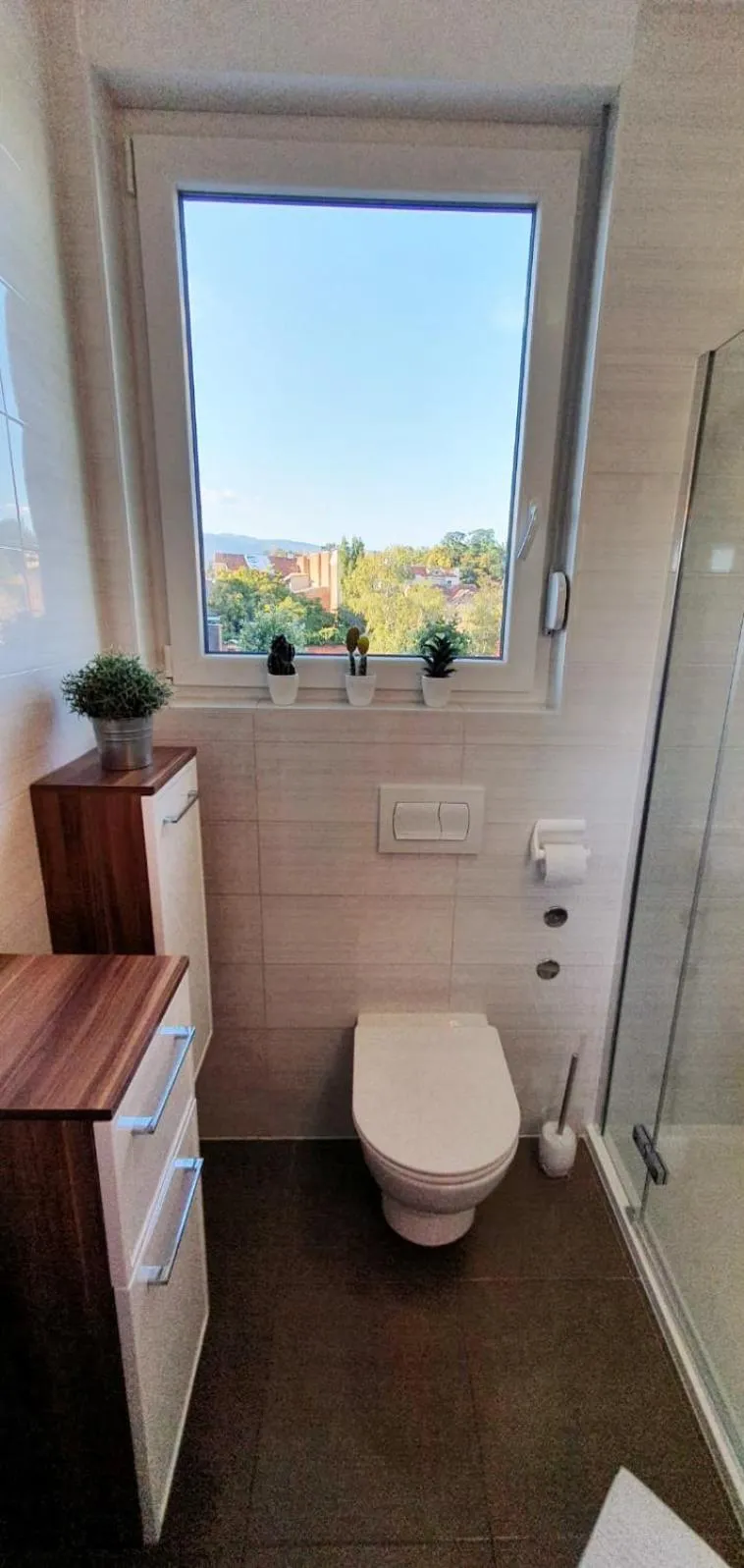 Bellevue Apartment