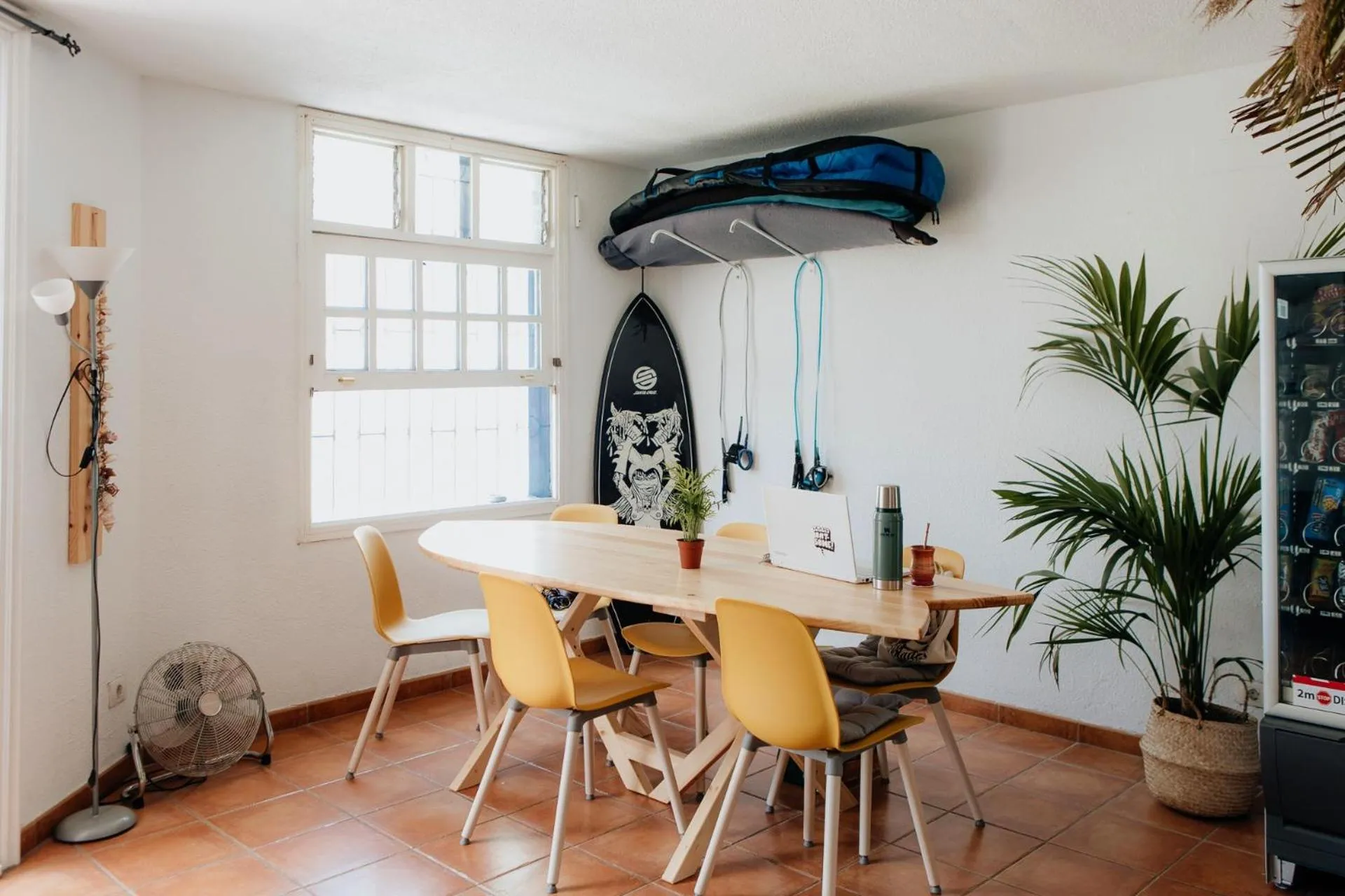 Living room in Endless Summer Hostel