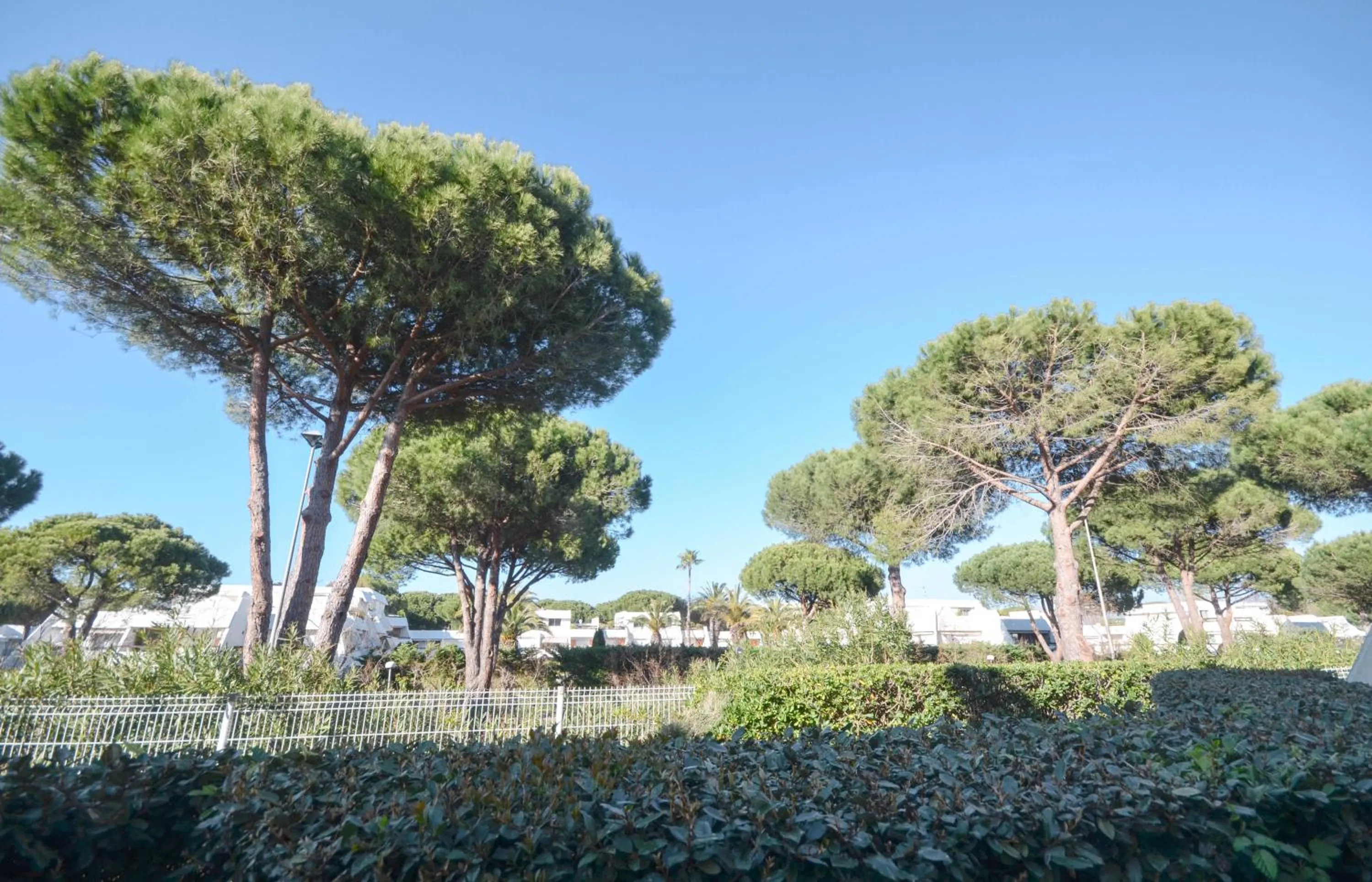 Chez Adeline - Confortable appartement avec piscine et parking