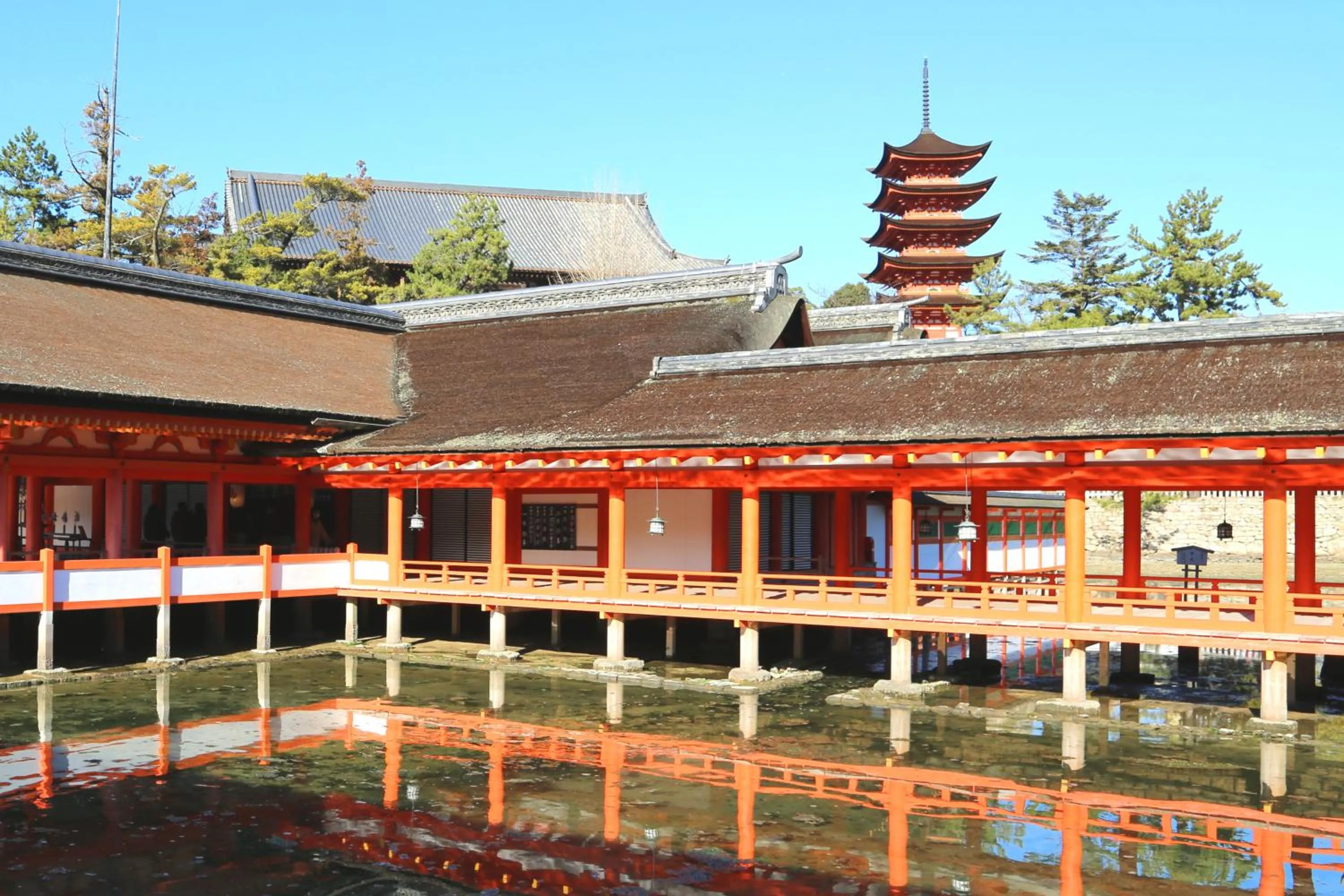 Other in Oyado Tsukiusagi