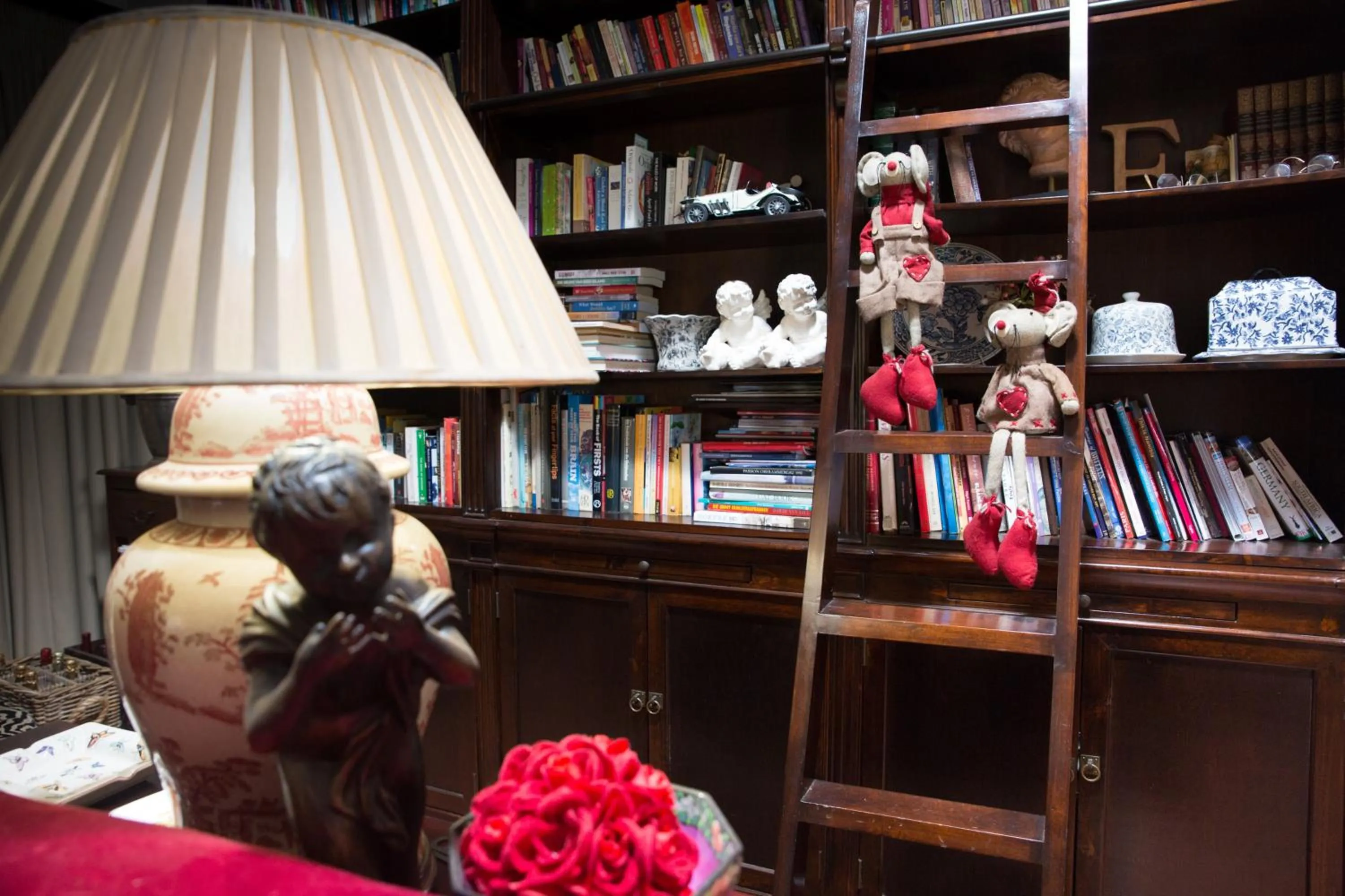 Library in MacGregors Guest House