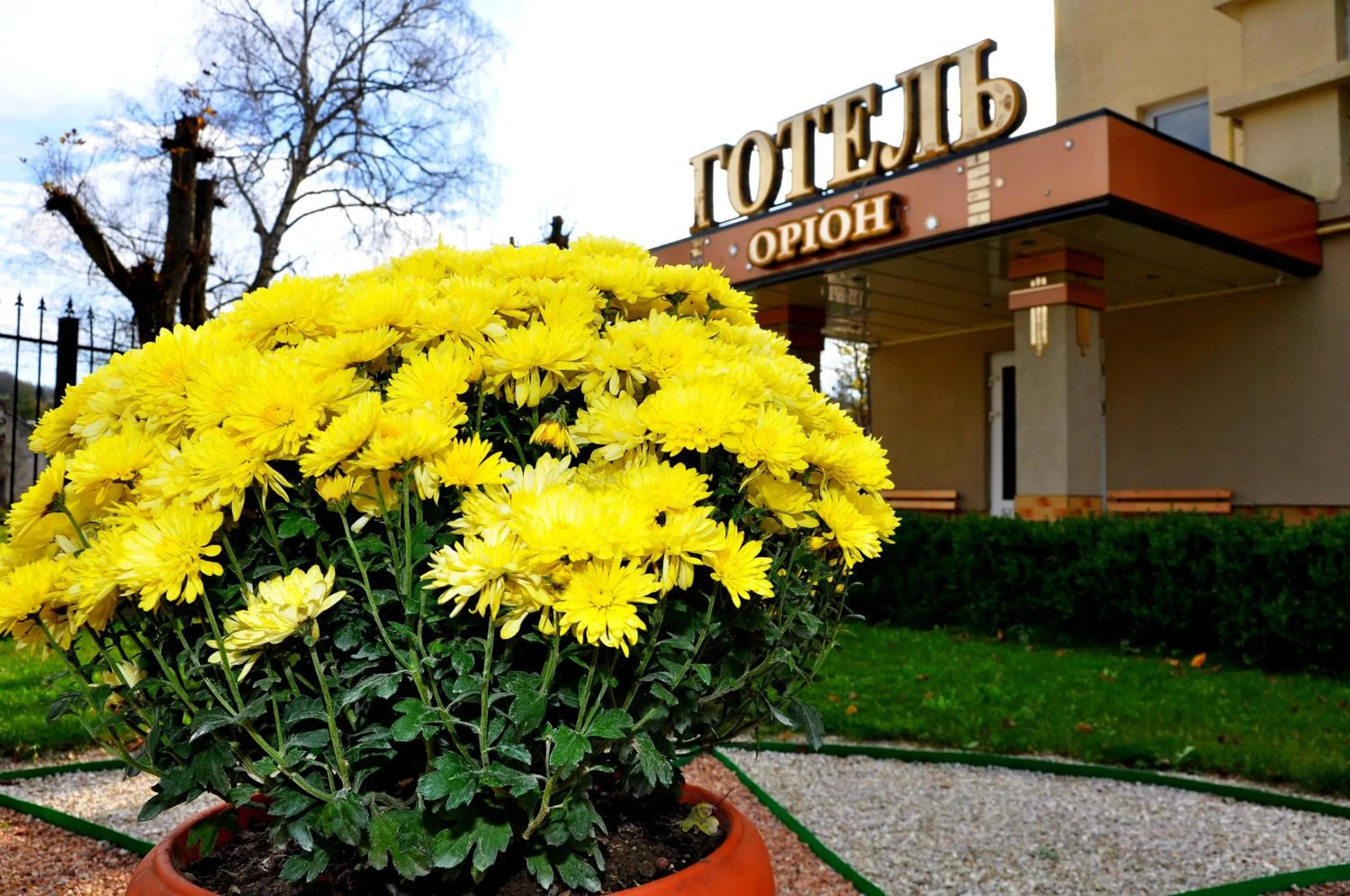 Hotel Orion