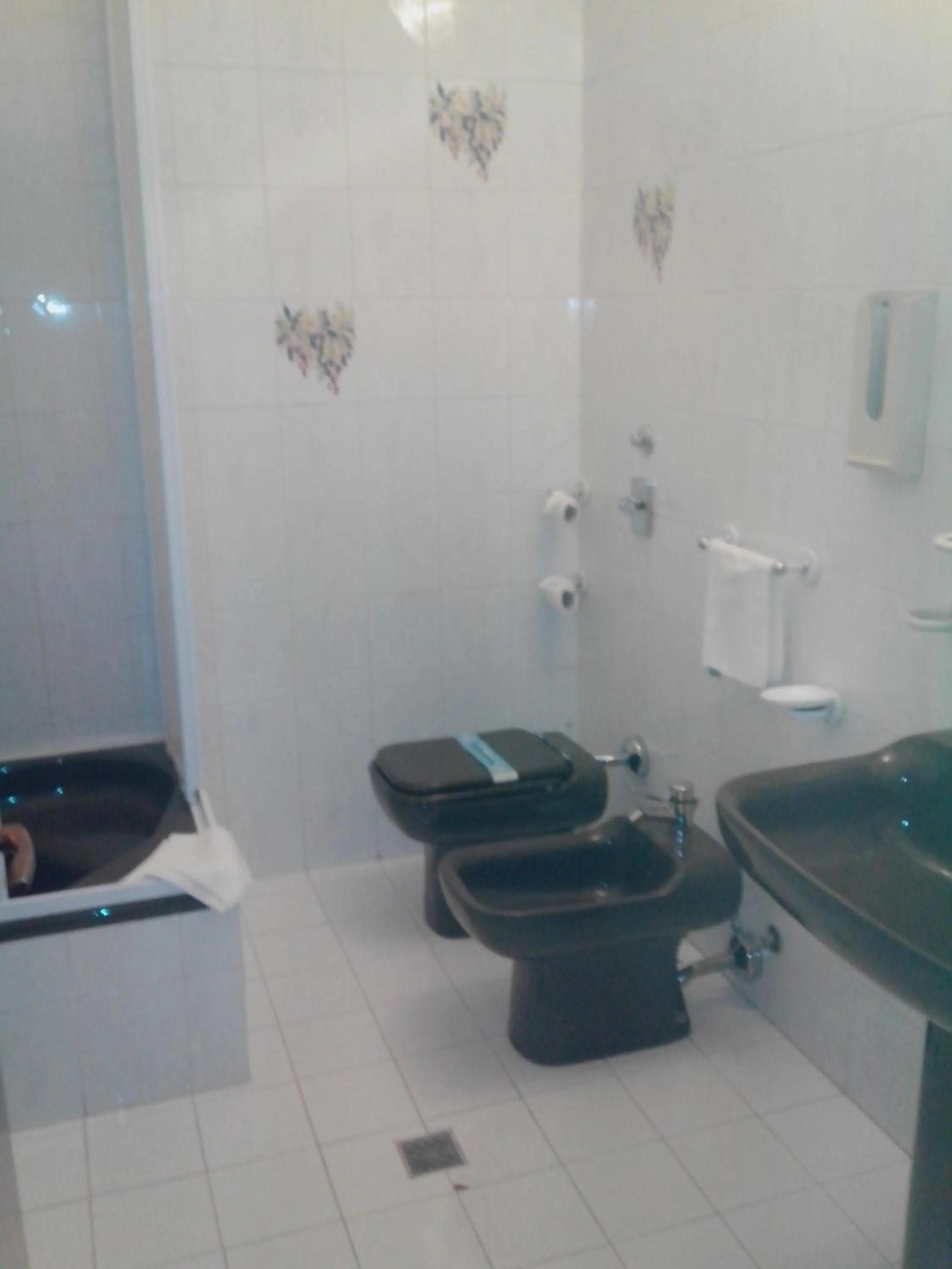 Shower in Hotel Niki