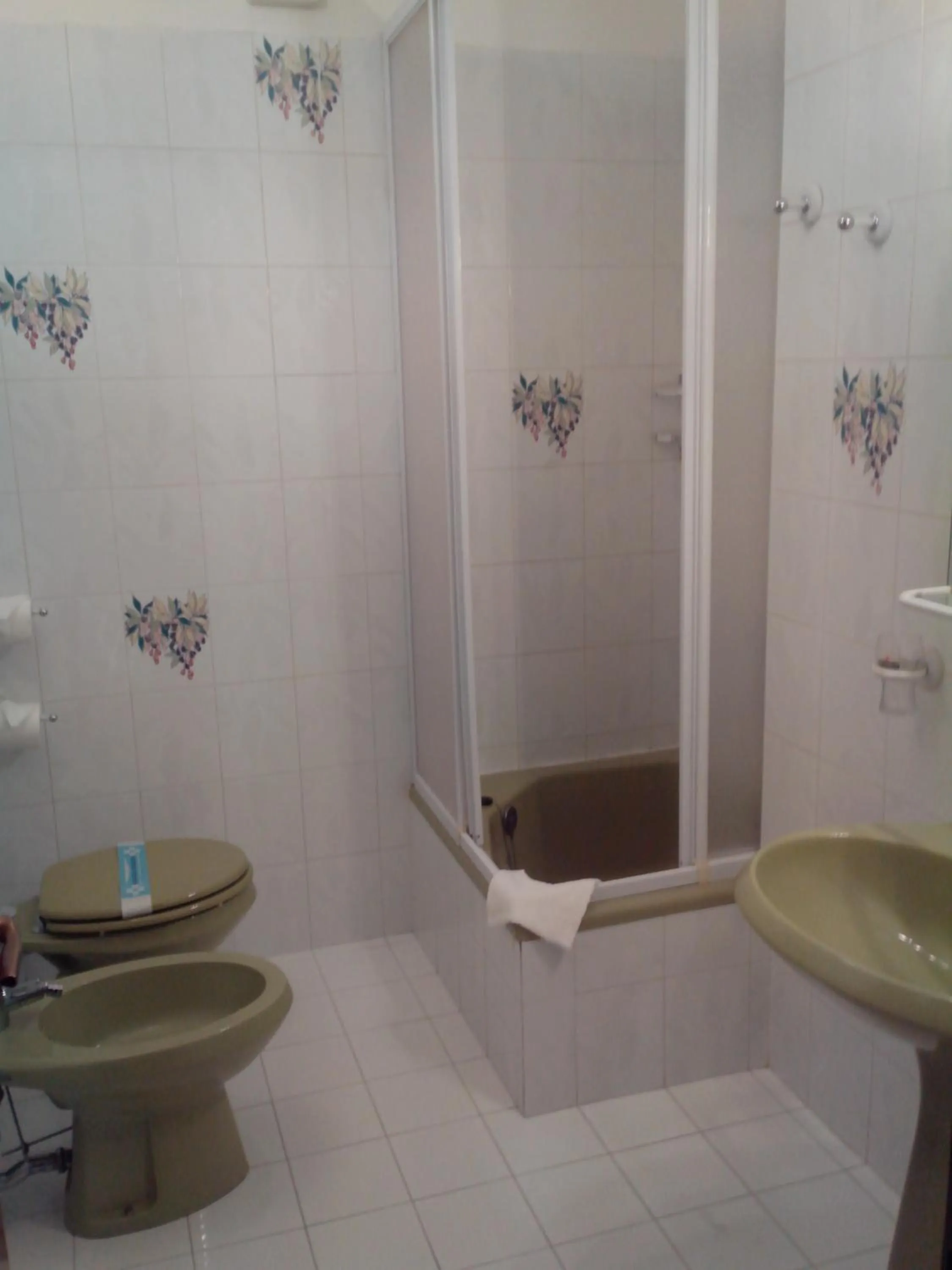 Shower in Hotel Niki