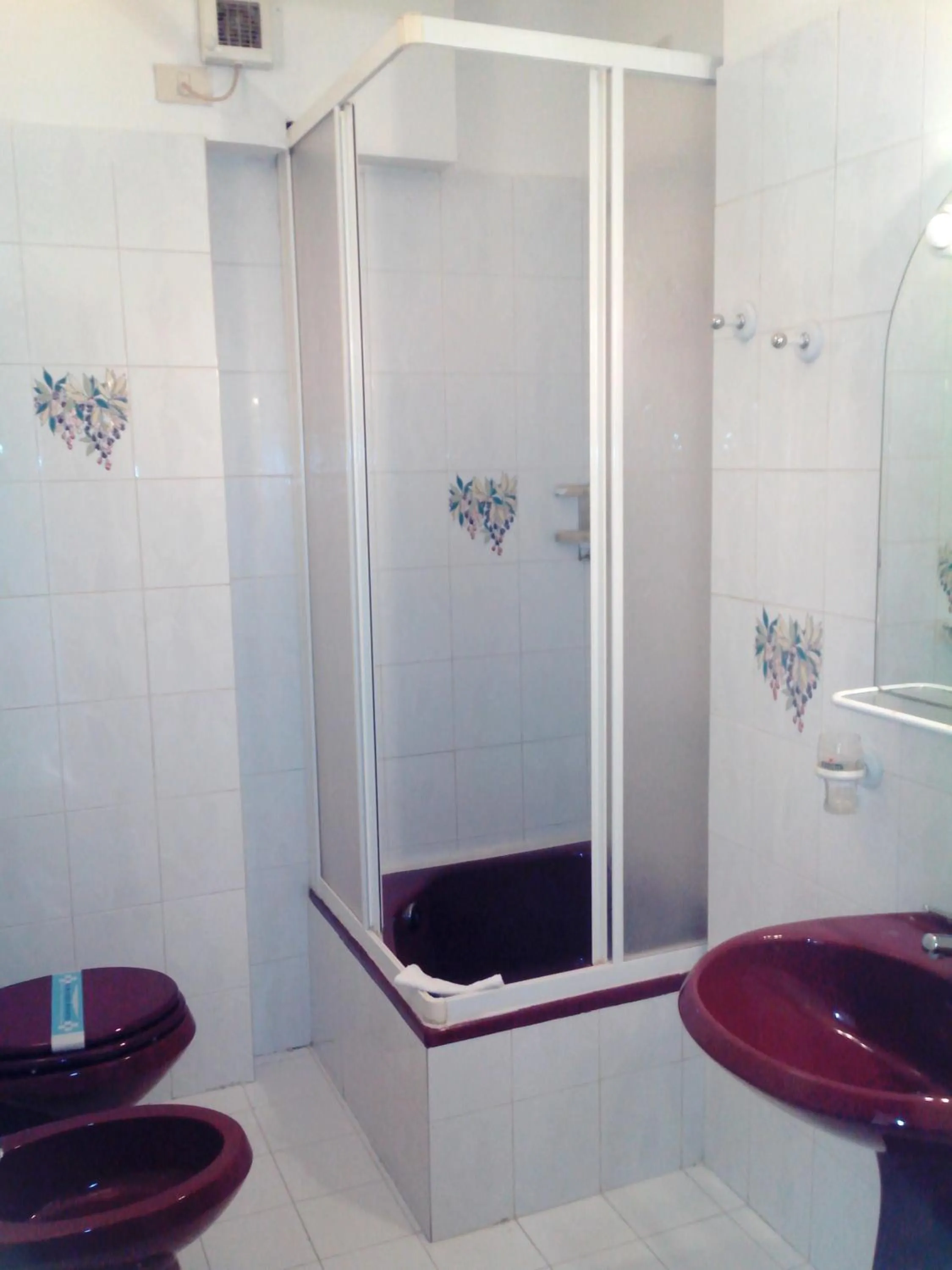 Shower in Hotel Niki