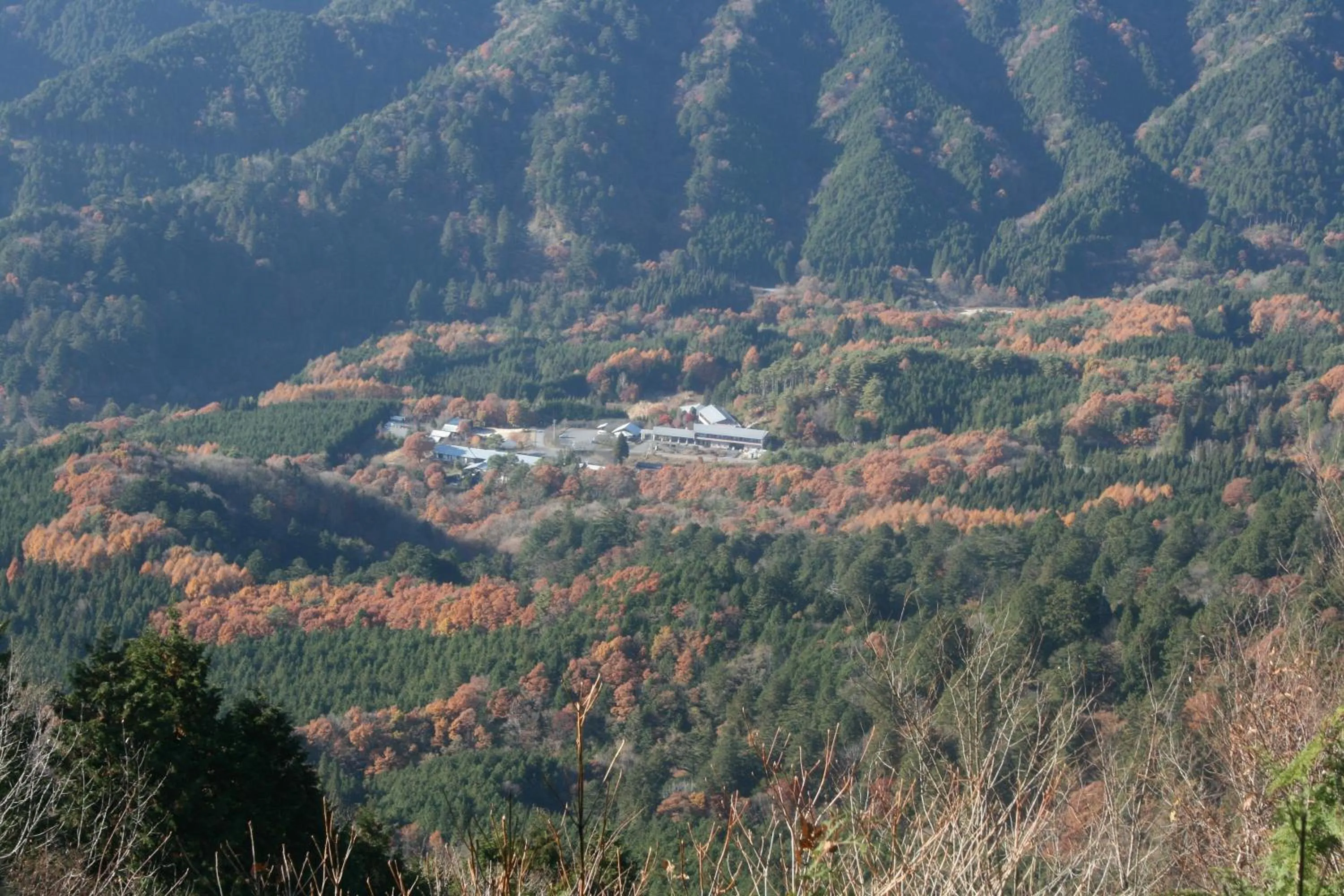 Bird's eye view in Hotel Fuki no Mori
