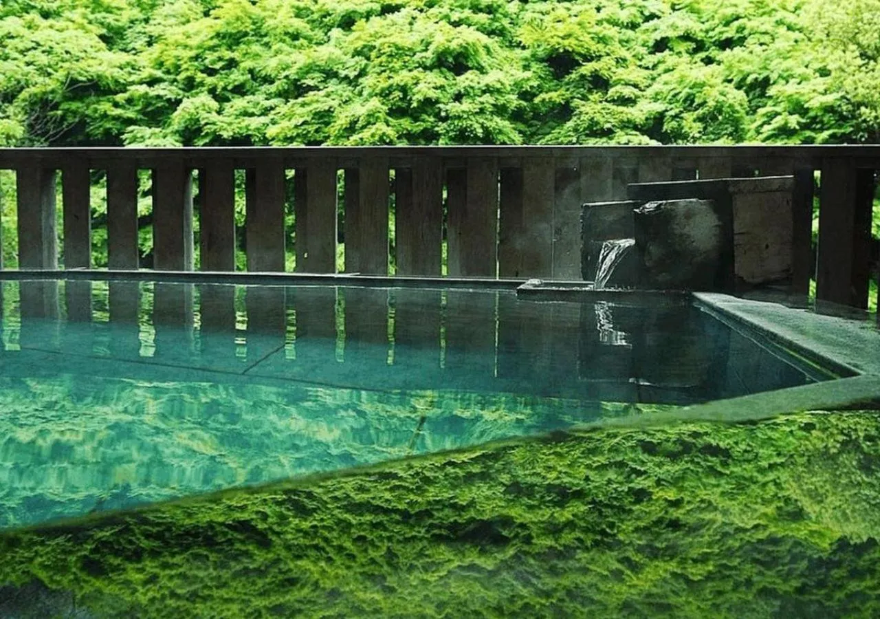 Hot Spring Bath in Okudogo Ichiyunomori