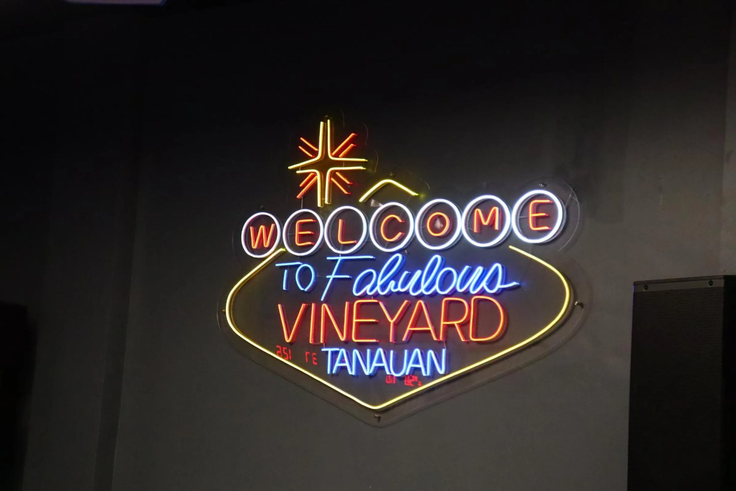 Activities in The Vineyard at Tanauan