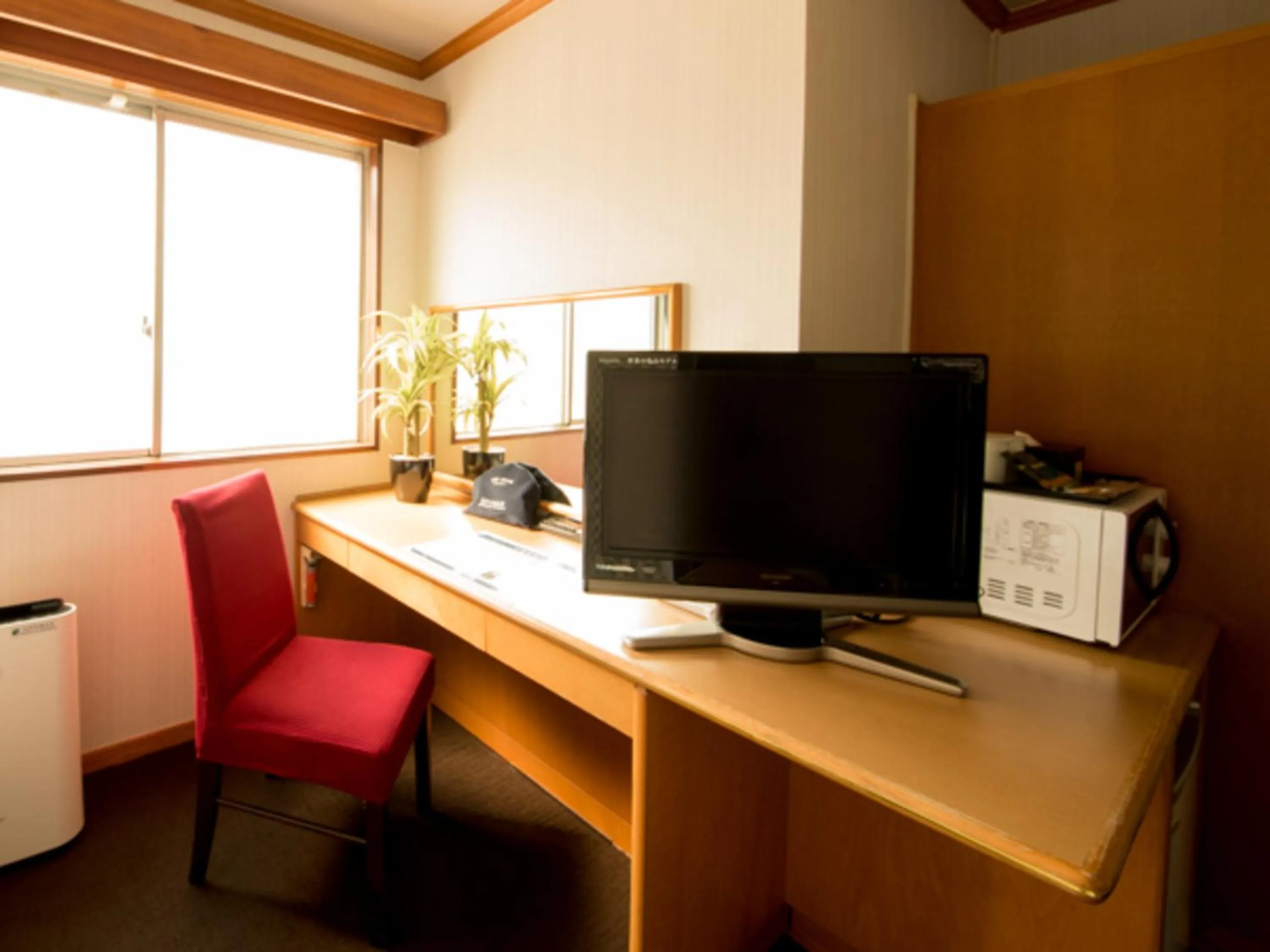 TV and multimedia in HOTEL LiVEMAX BUDGET Okinawa Tomariko