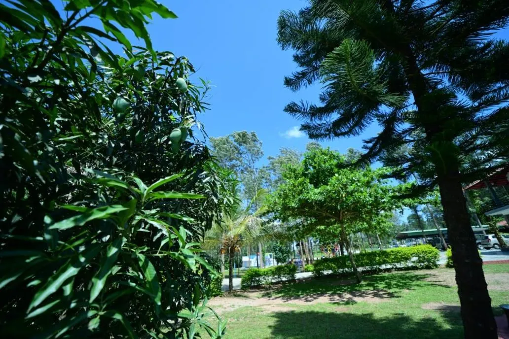 Day in SIPAYI RESORT COORG