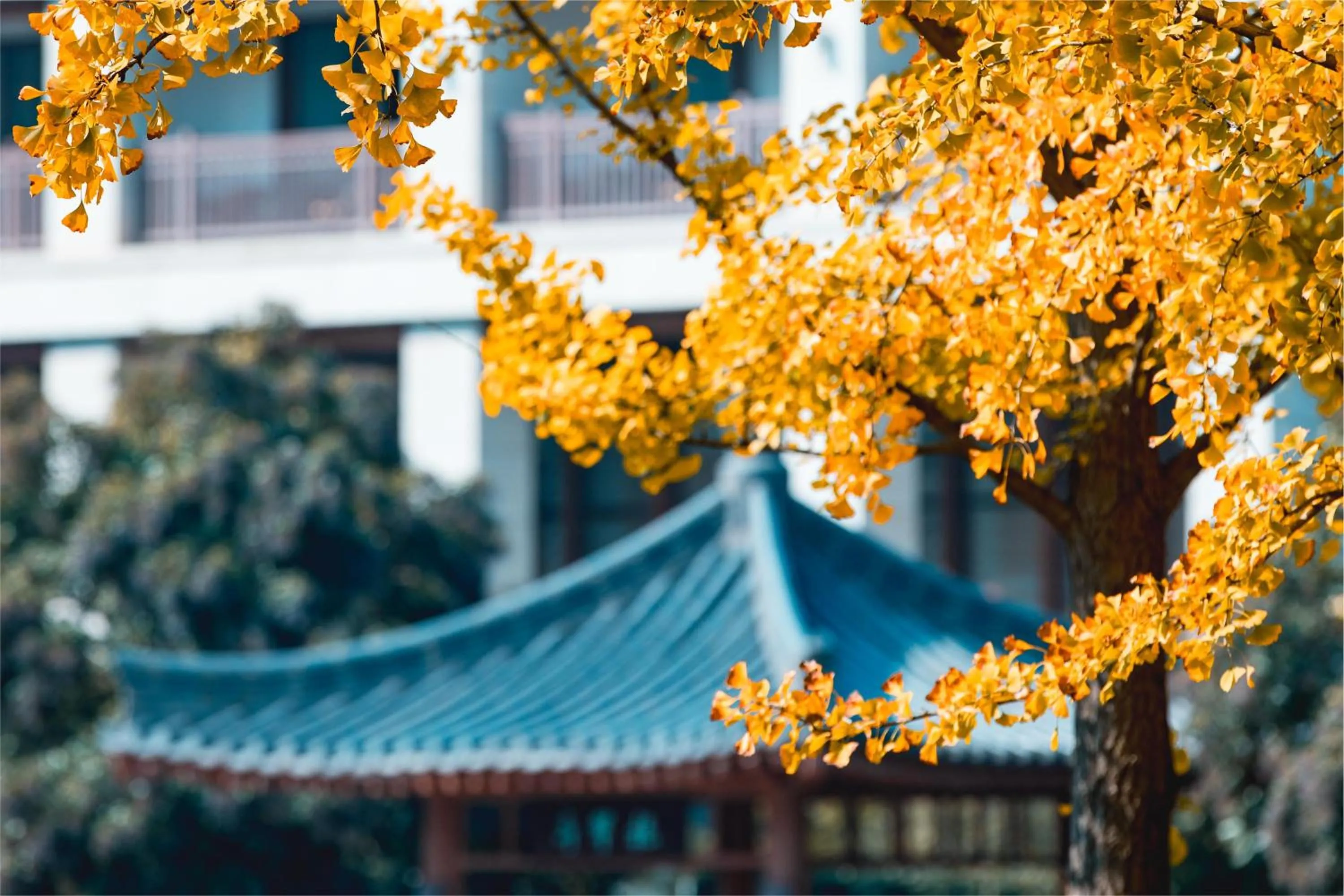 Property building in Angsana Xi'an Lintong