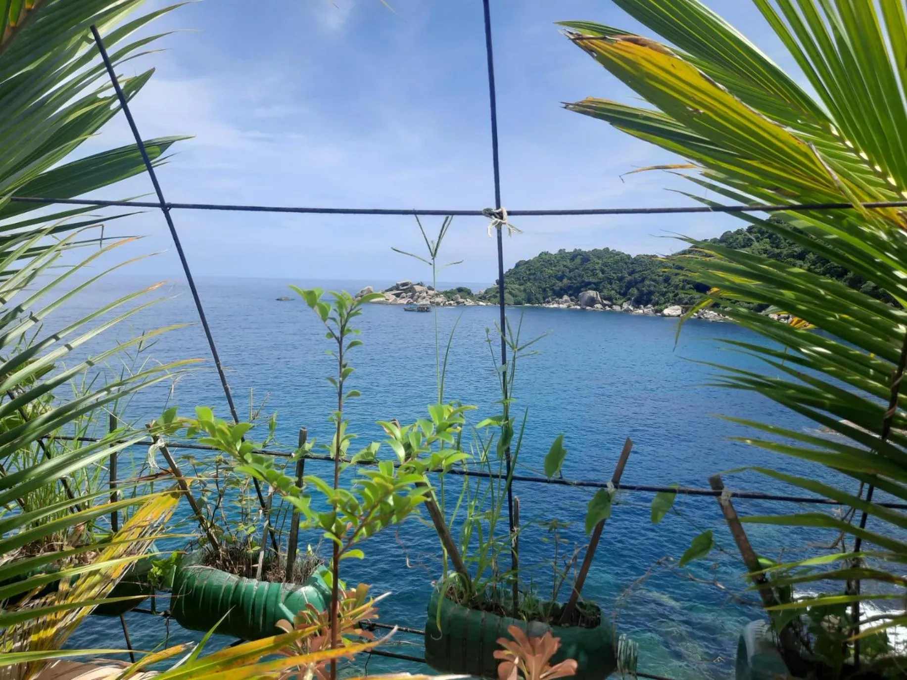 Hin Wong Apartments Dive & Snorkel Resort