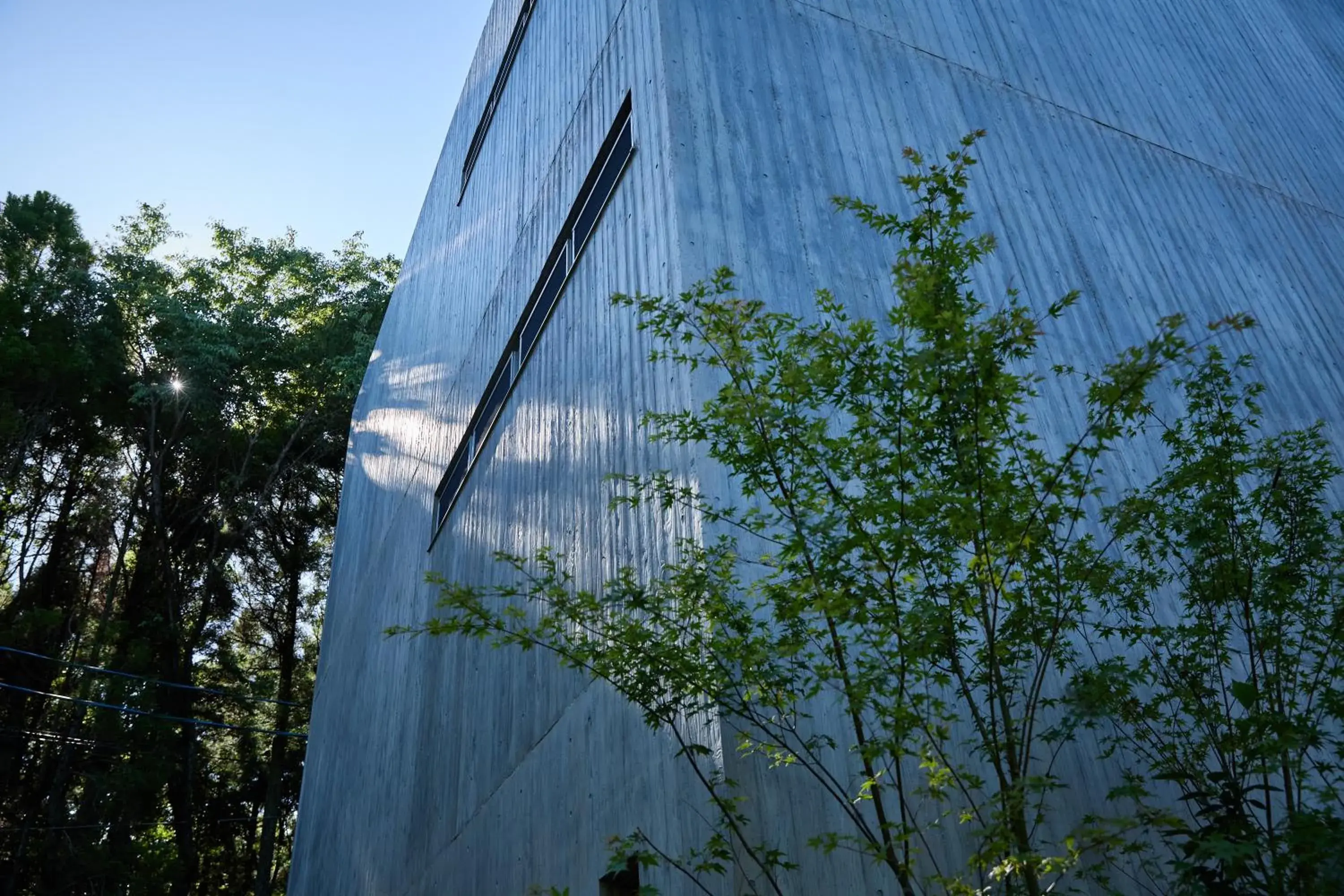 Forest Inn Born Forest Inn Born