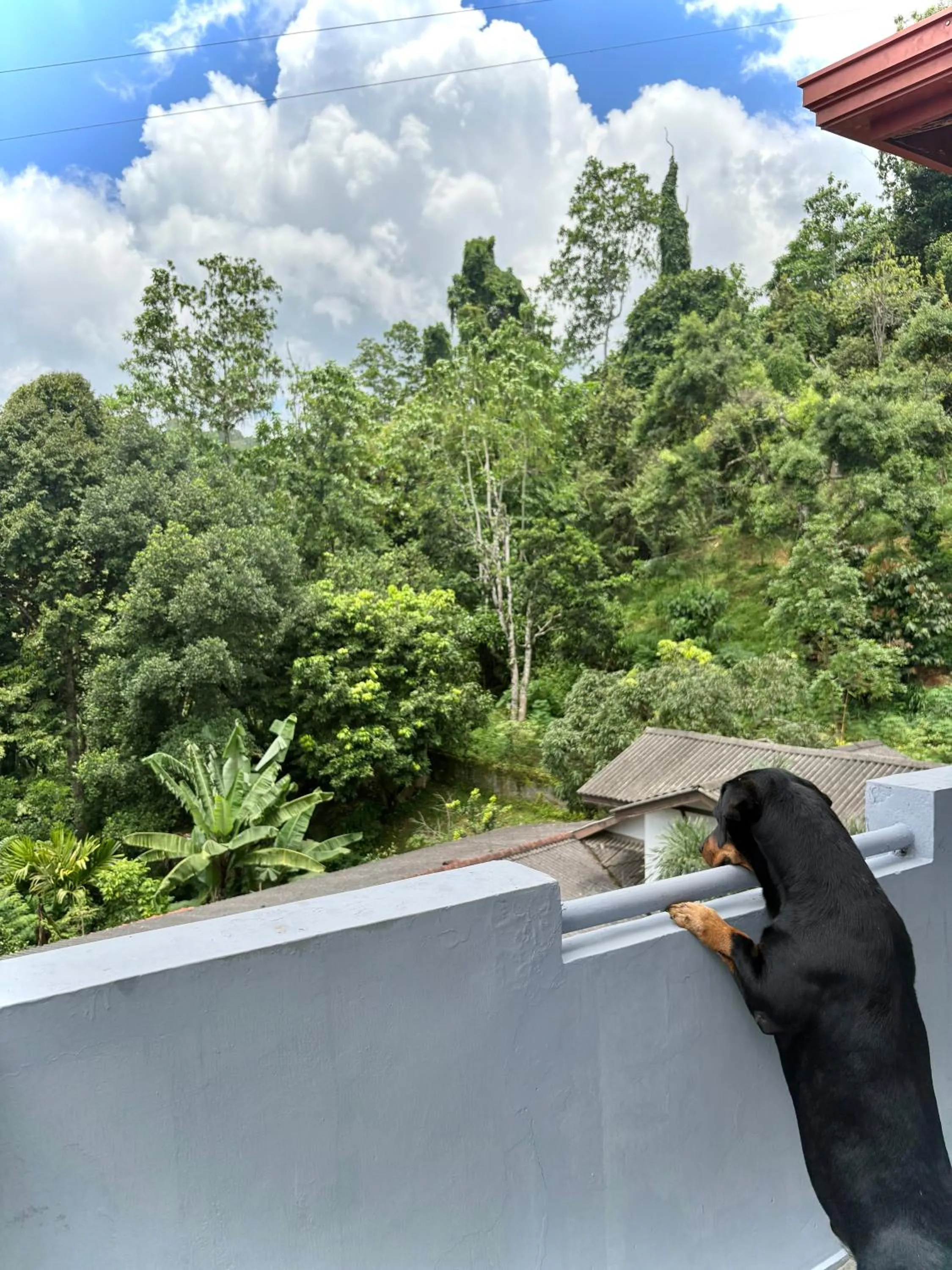 Natural landscape in Bethel Rest Homestay