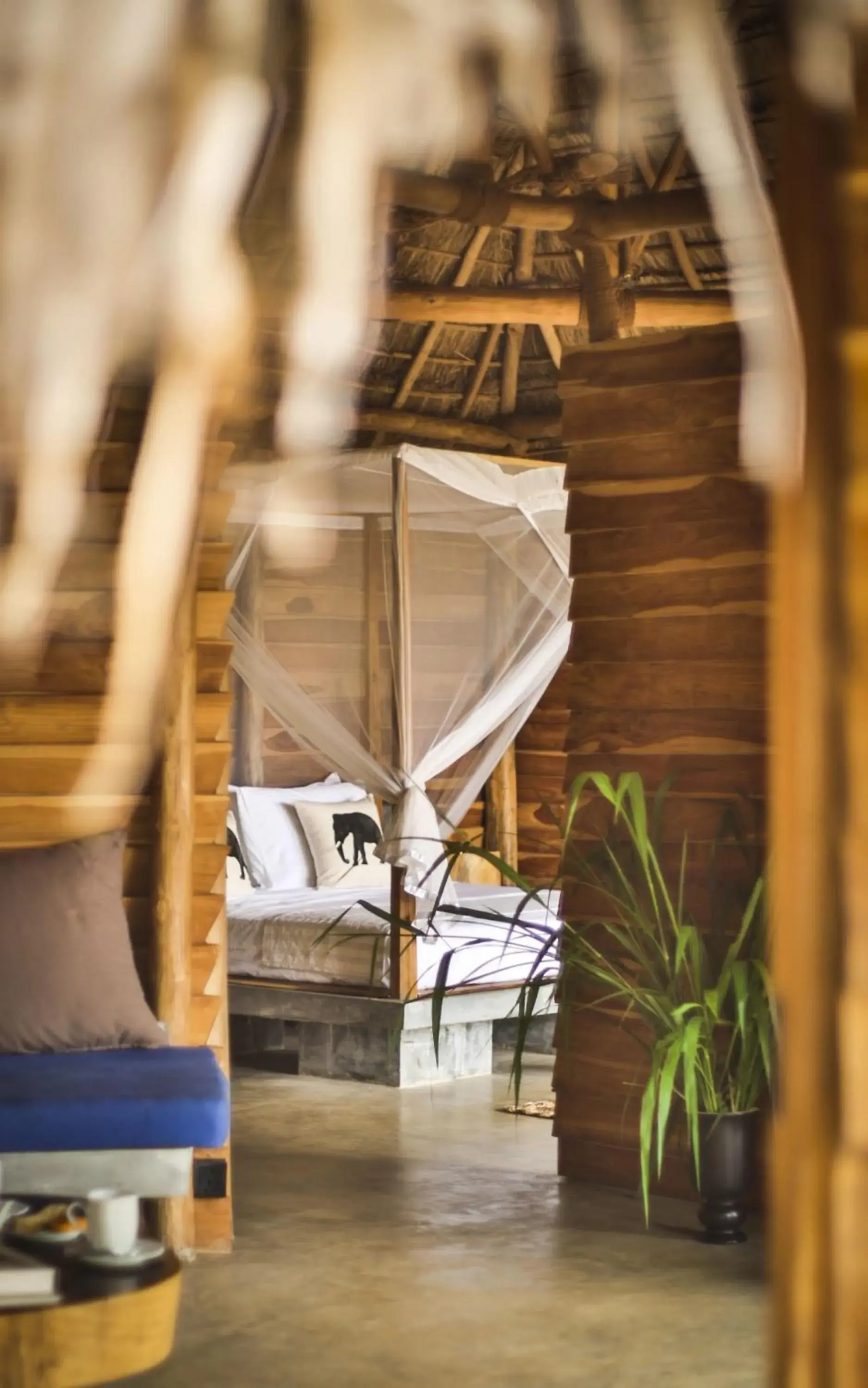 Villa with Private Pool in Gal Oya Lodge Villa with Private Pool in Gal Oya Lodge