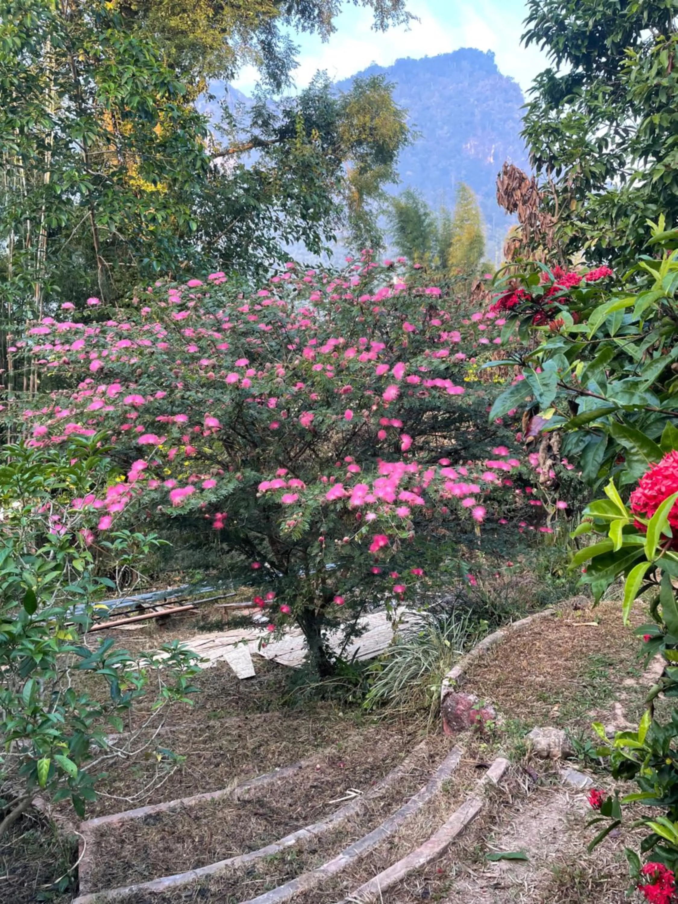 Garden in Chiang Dao Roundhouses