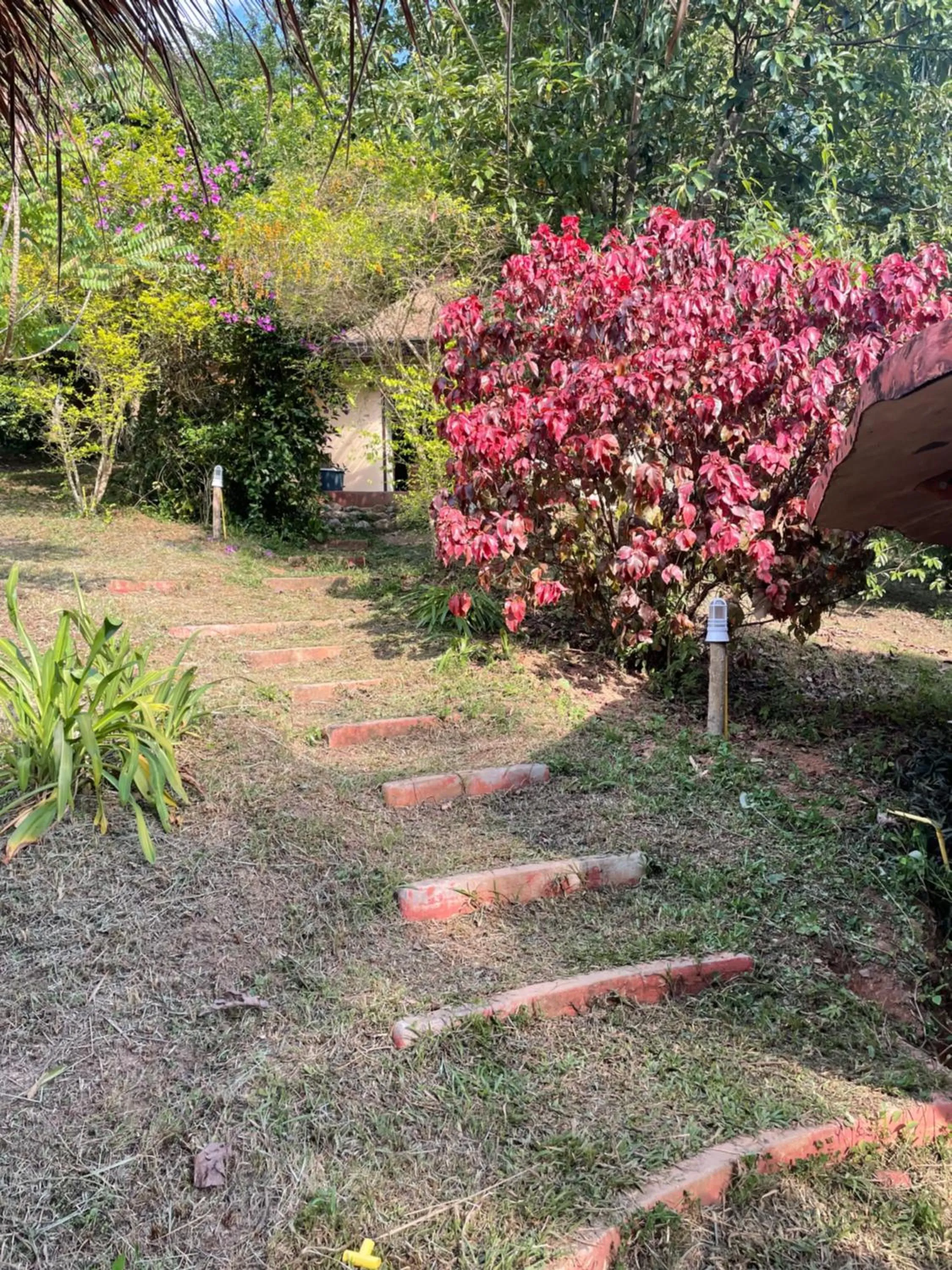 Natural landscape in Chiang Dao Roundhouses