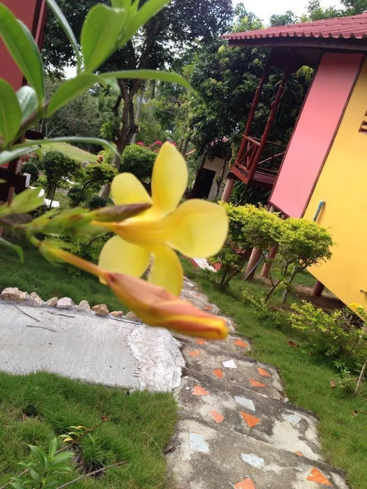 Garden in J.B.Hut Bungalows